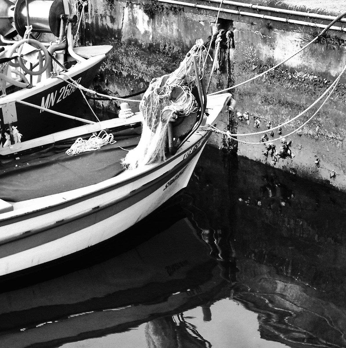 Racconto di pesca riflessi