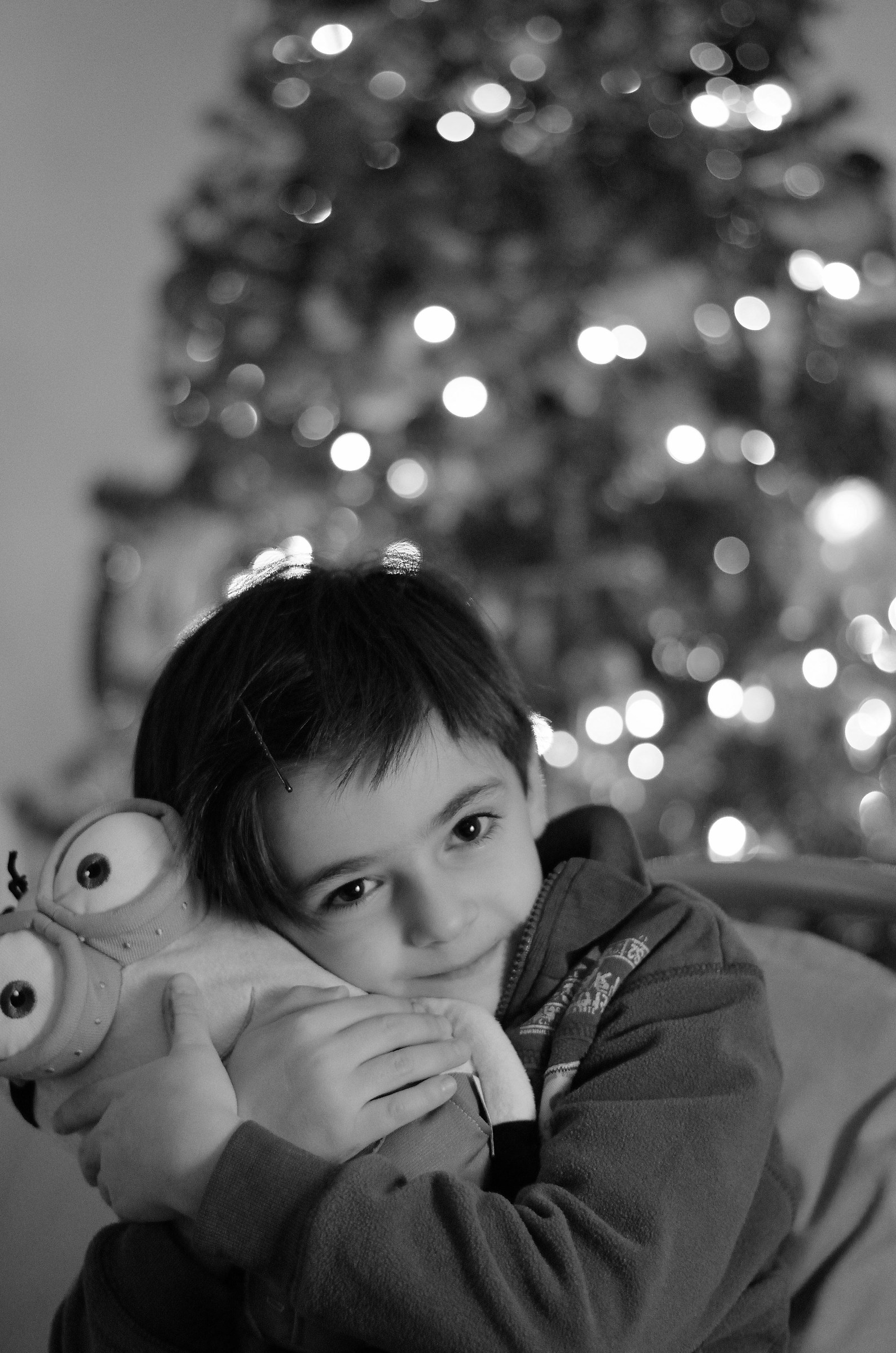 i miei modelli preferiti