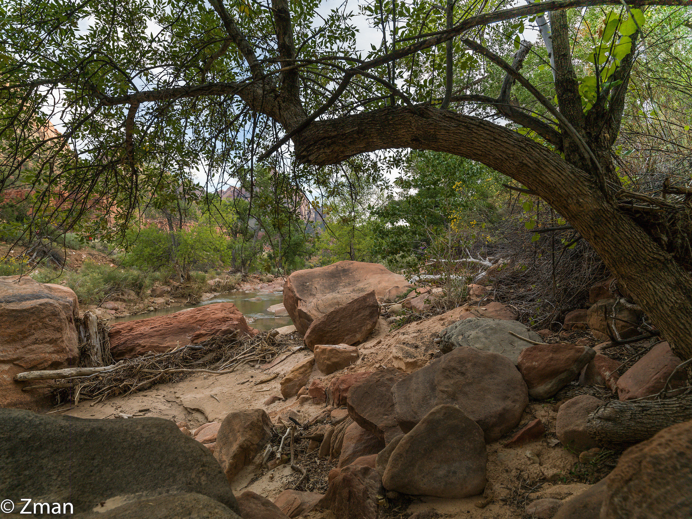 Zion National Park