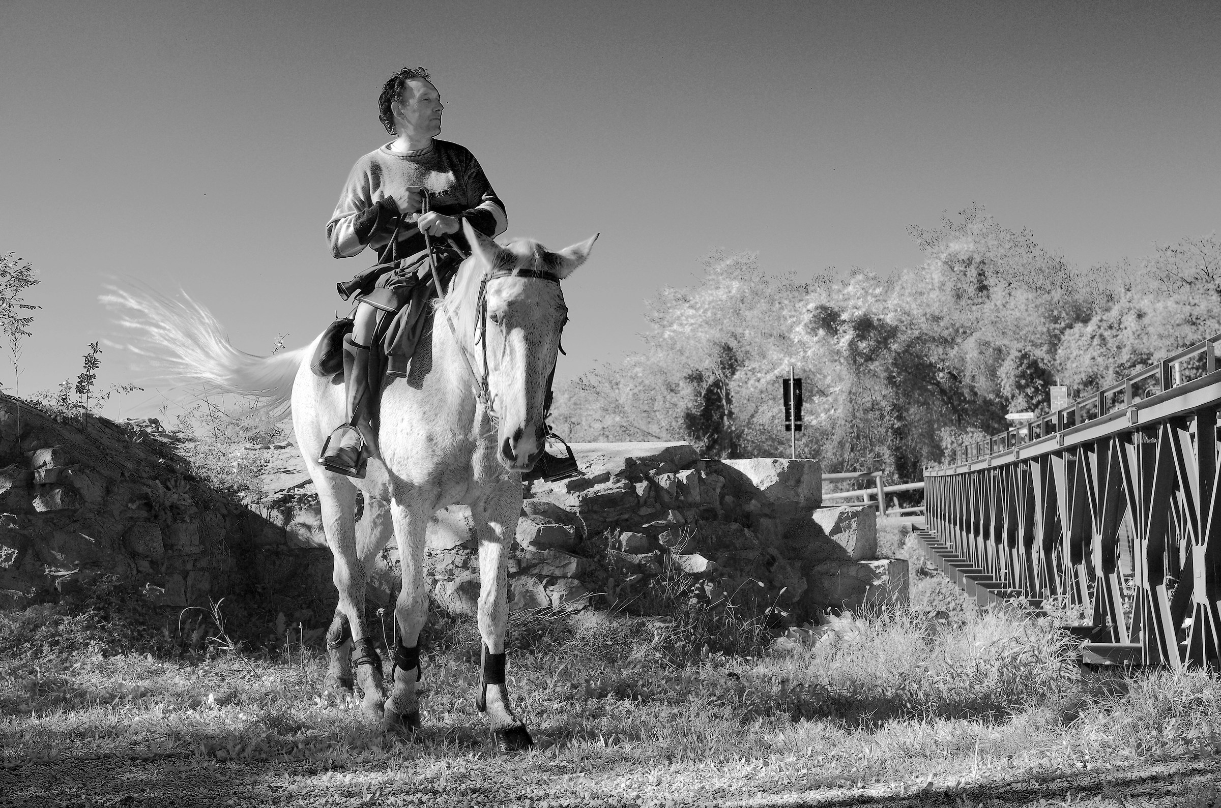 Ostiglia ciclopedonale V