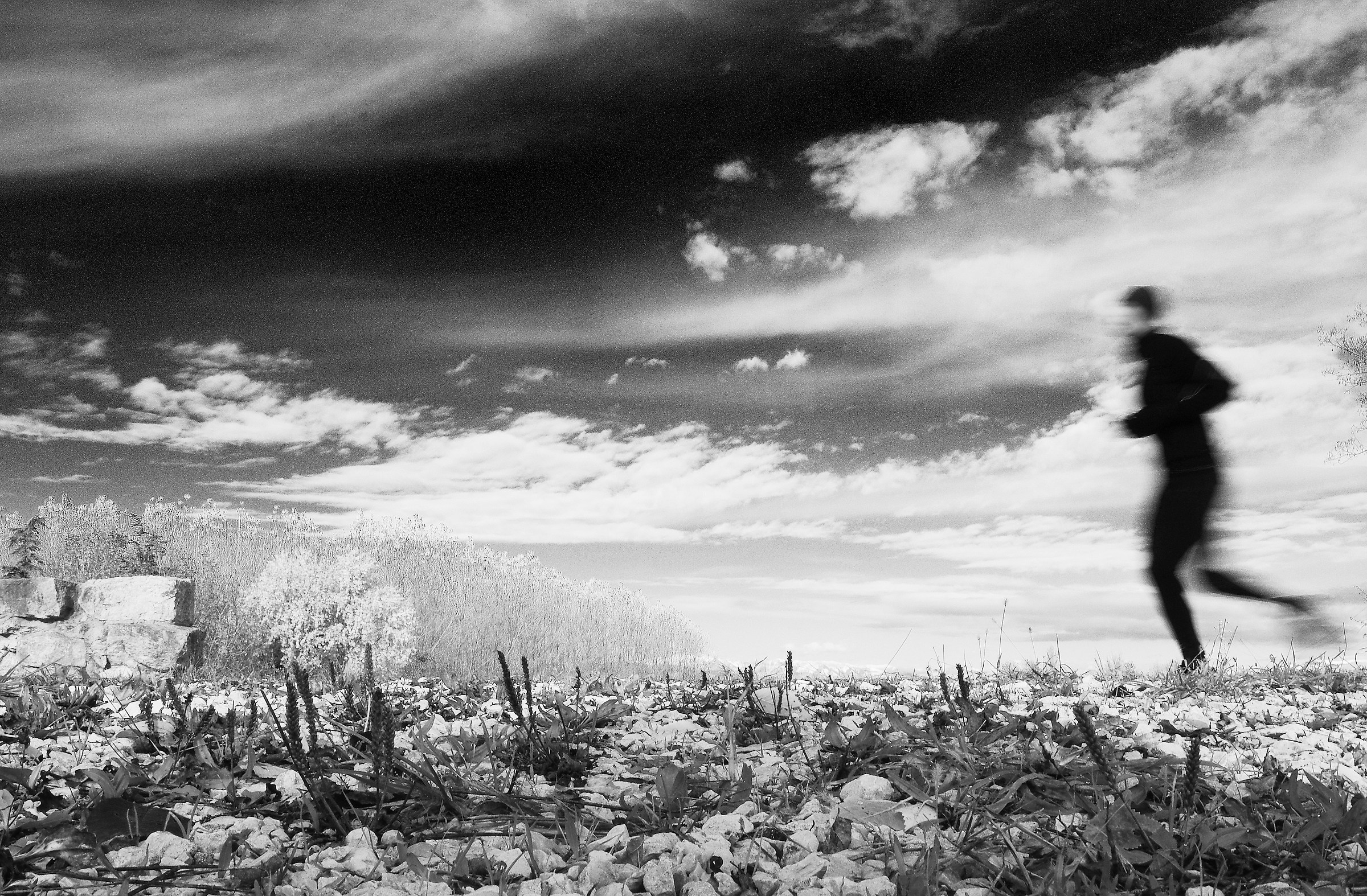 Ostiglia pedestrian viii