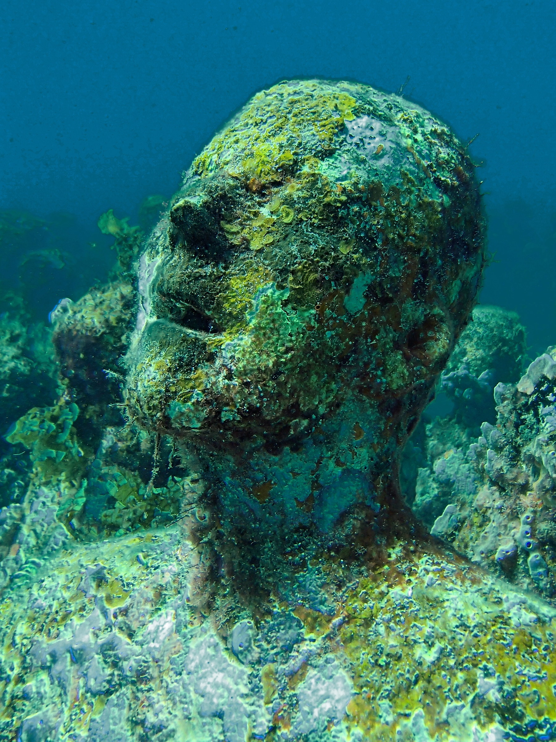 Urlando contro il Cielo