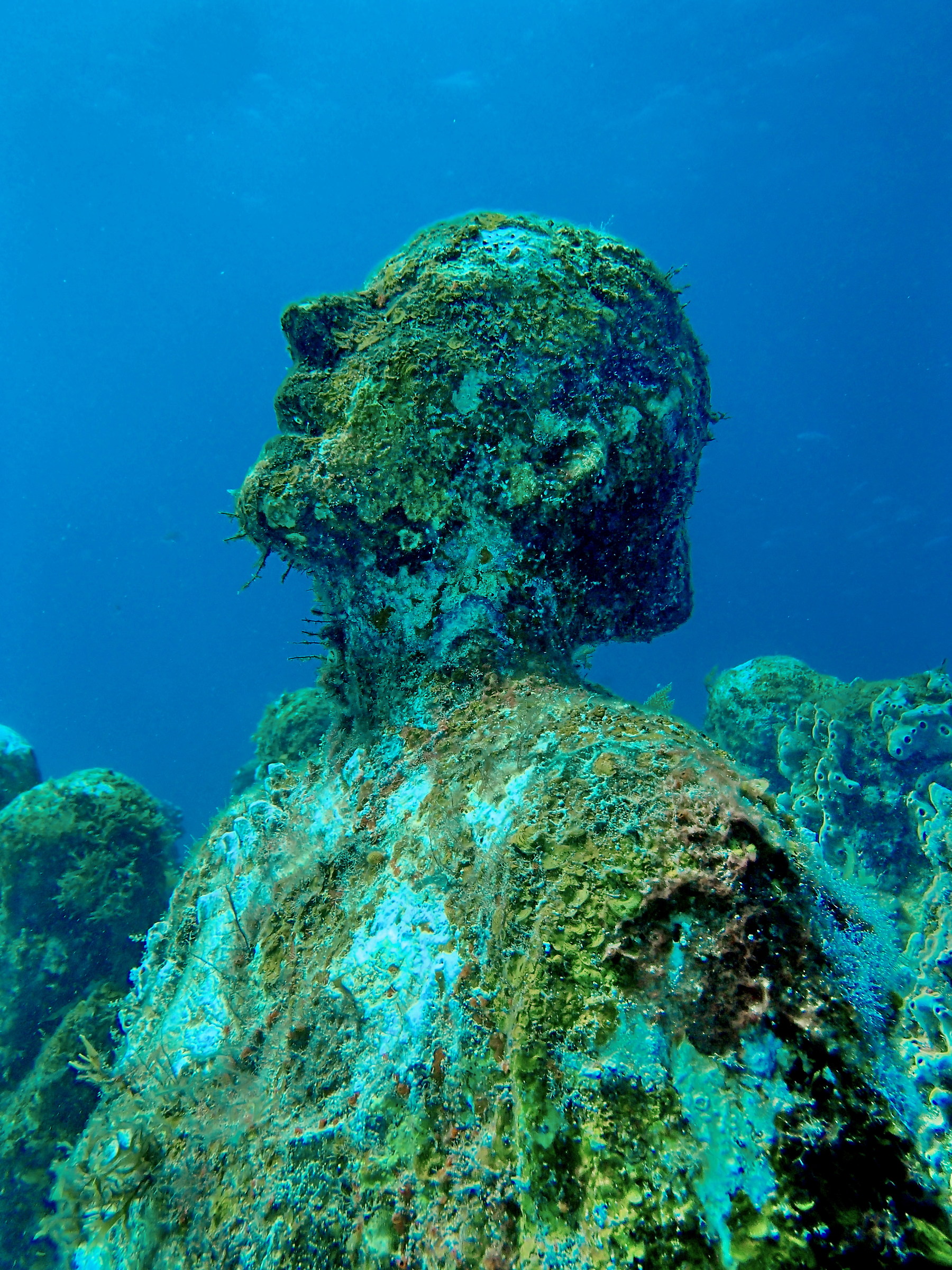 Sguardo Verso il Cielo