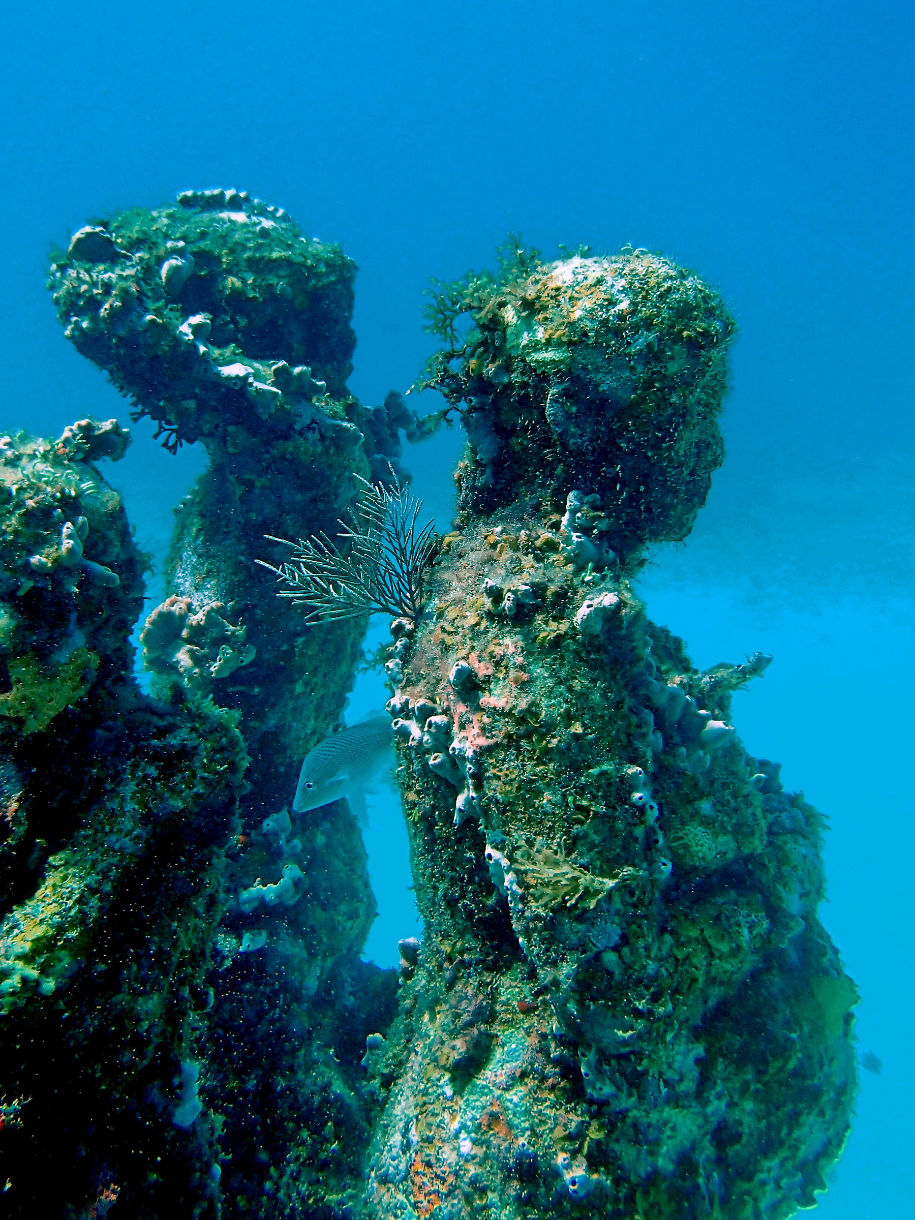 Com'è Profondo il Mare