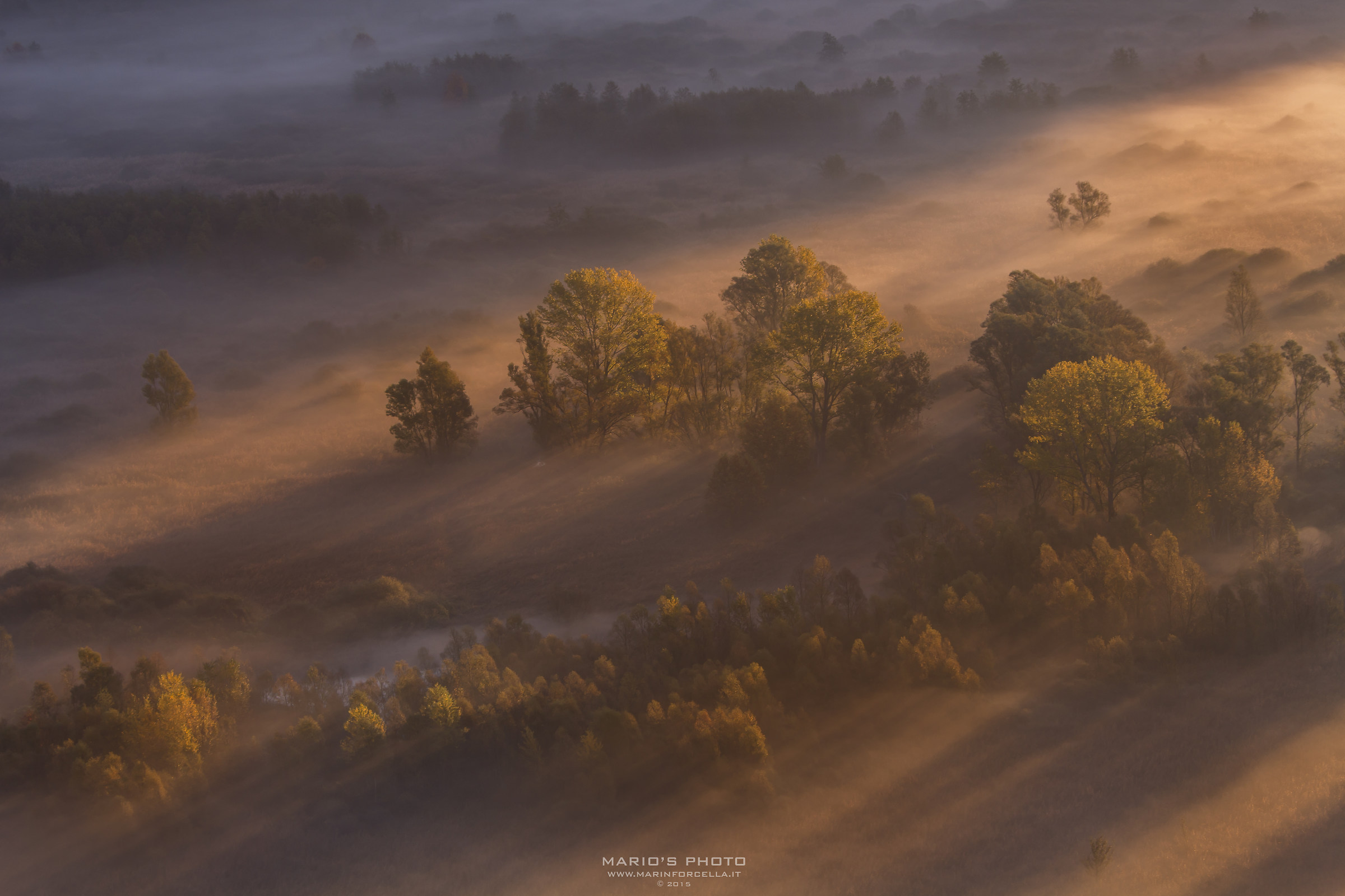 Rays of light in the autumn