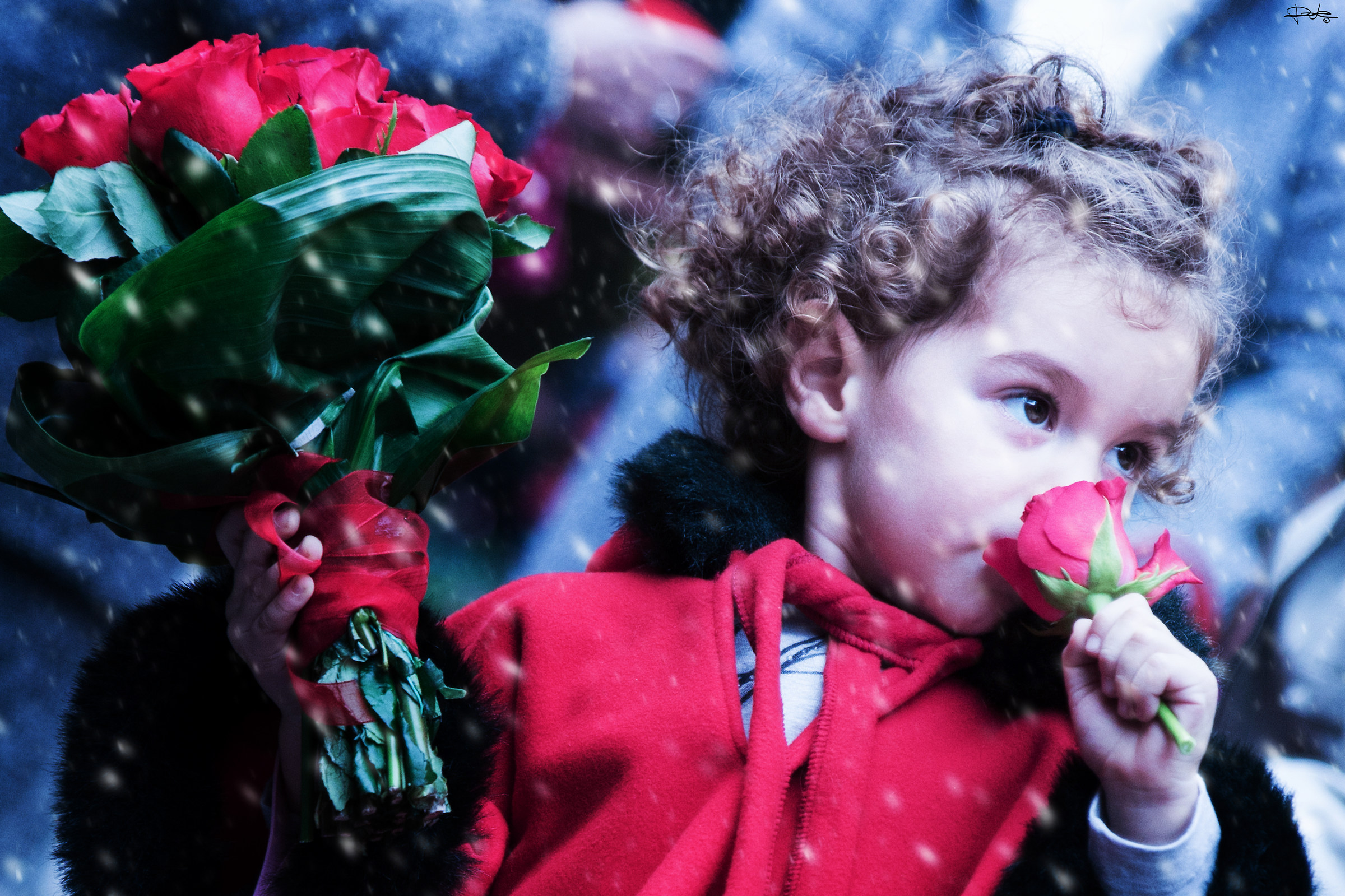 cappuccetto nella neve
