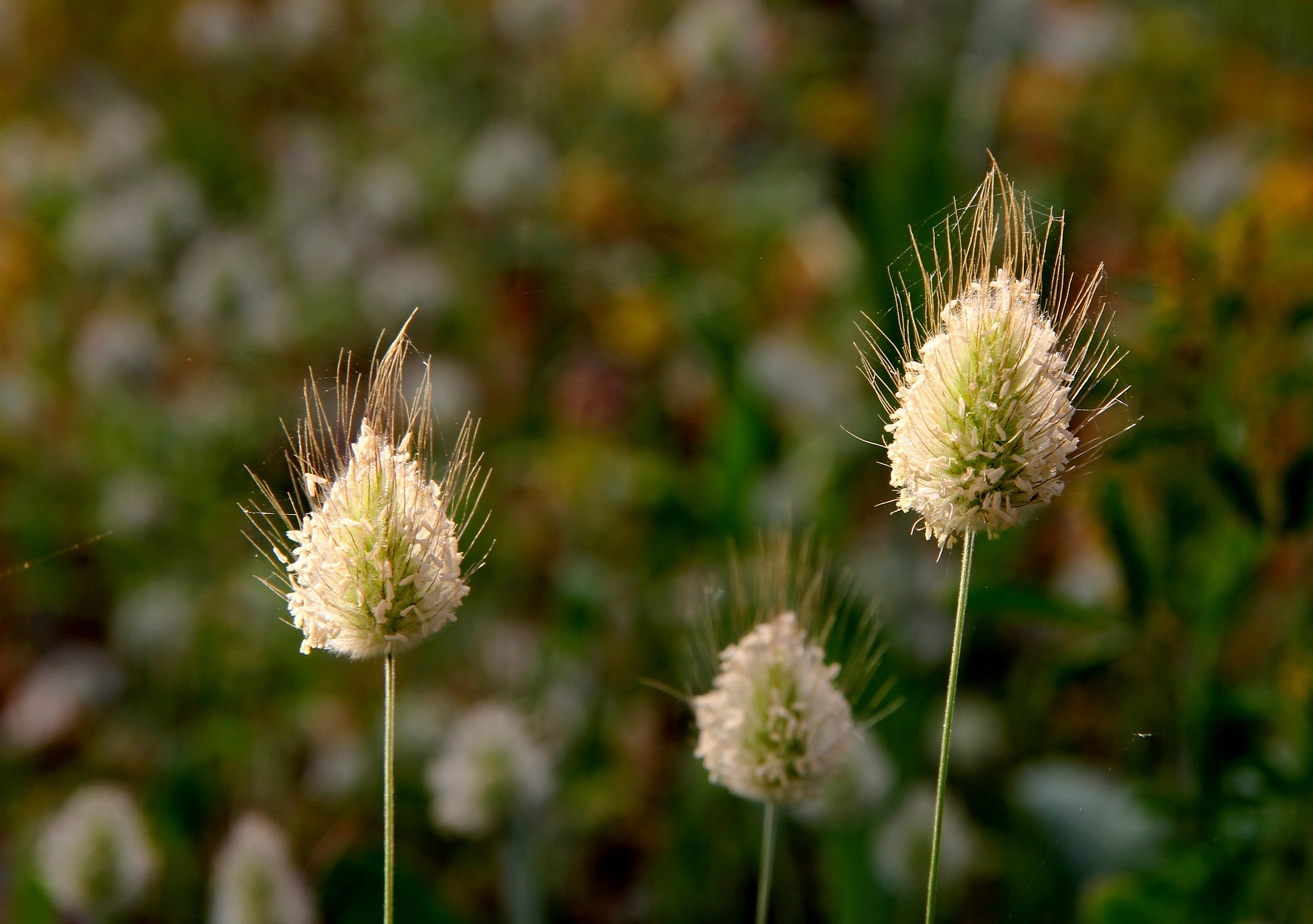 Legati da fili invisibli