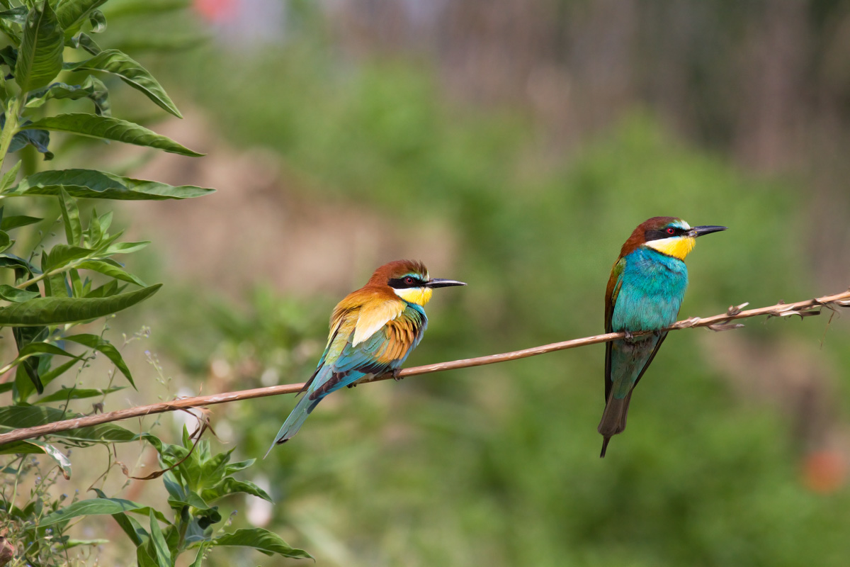 psss .... Excuse Miss