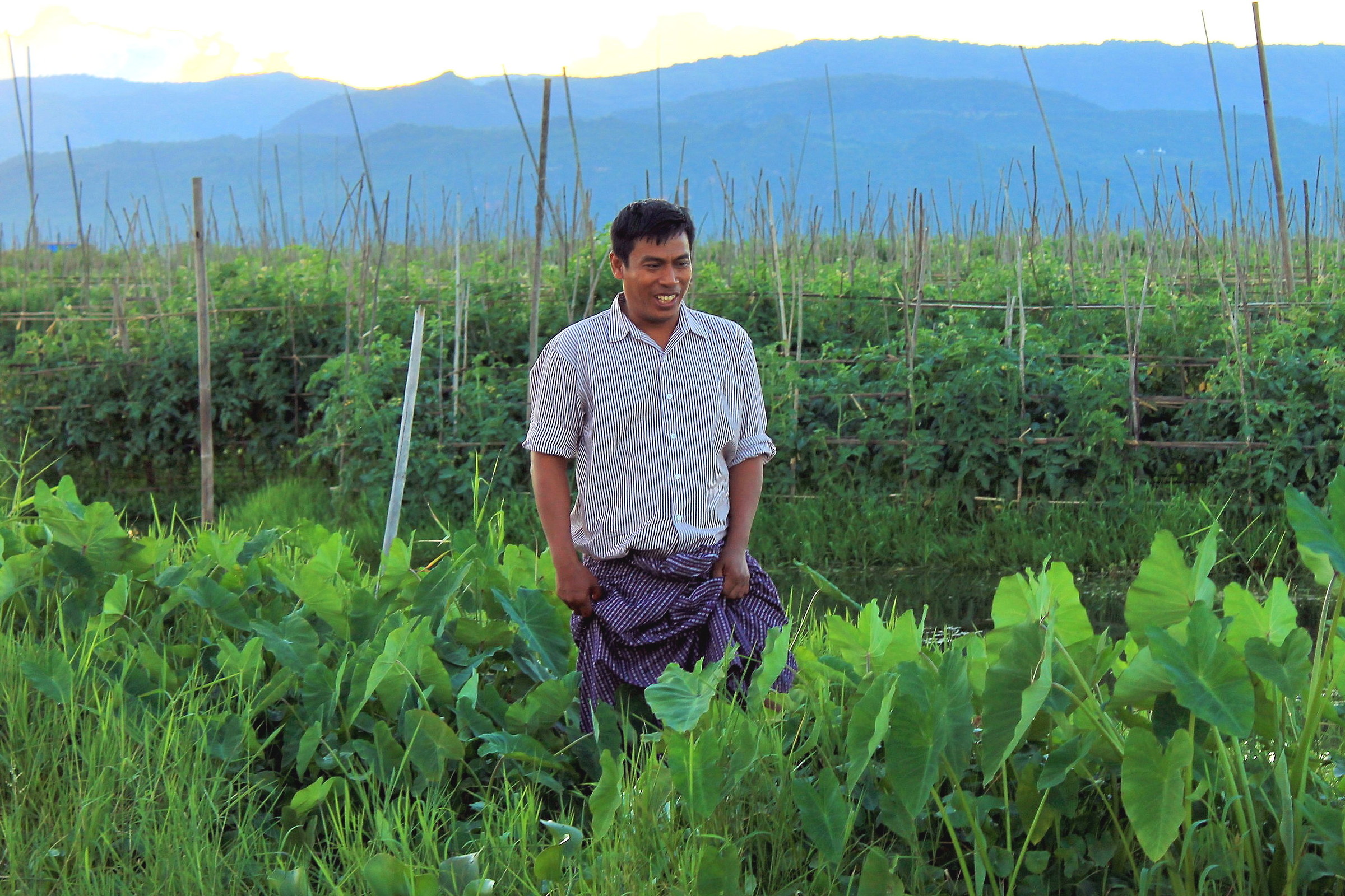 Un controllo alle verdure