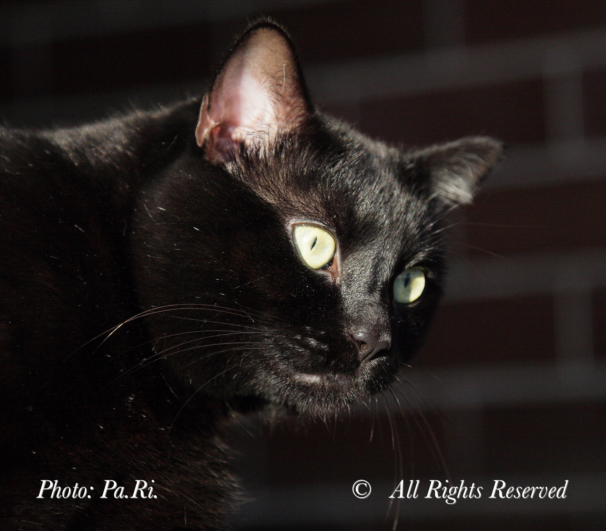 The Power of the Unknown