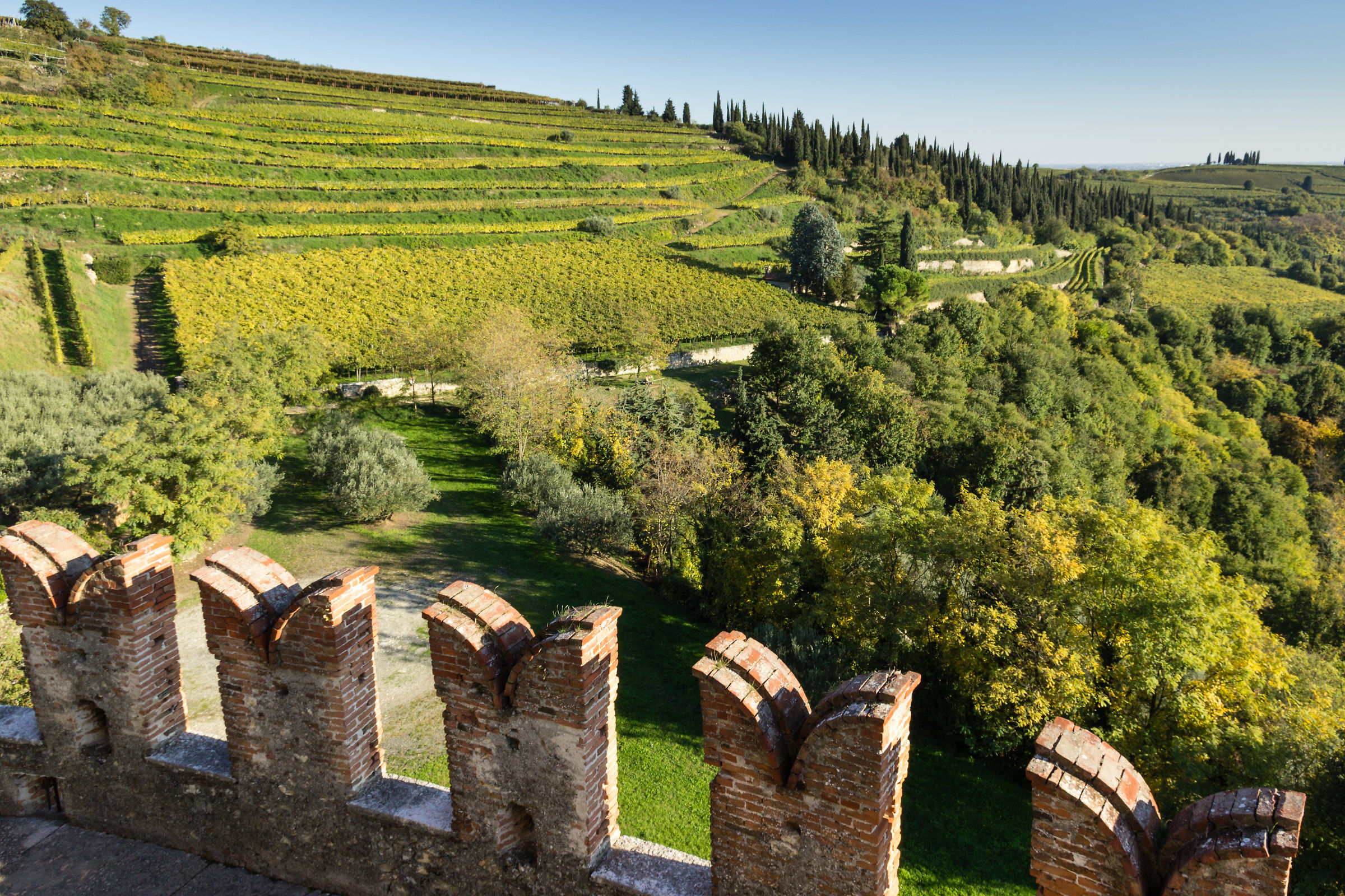 Vista dal castello di Soave
