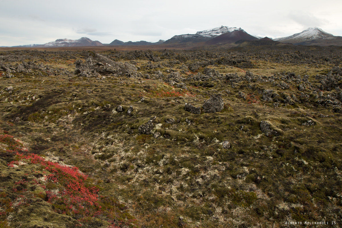 Colori nella terra di fuoco