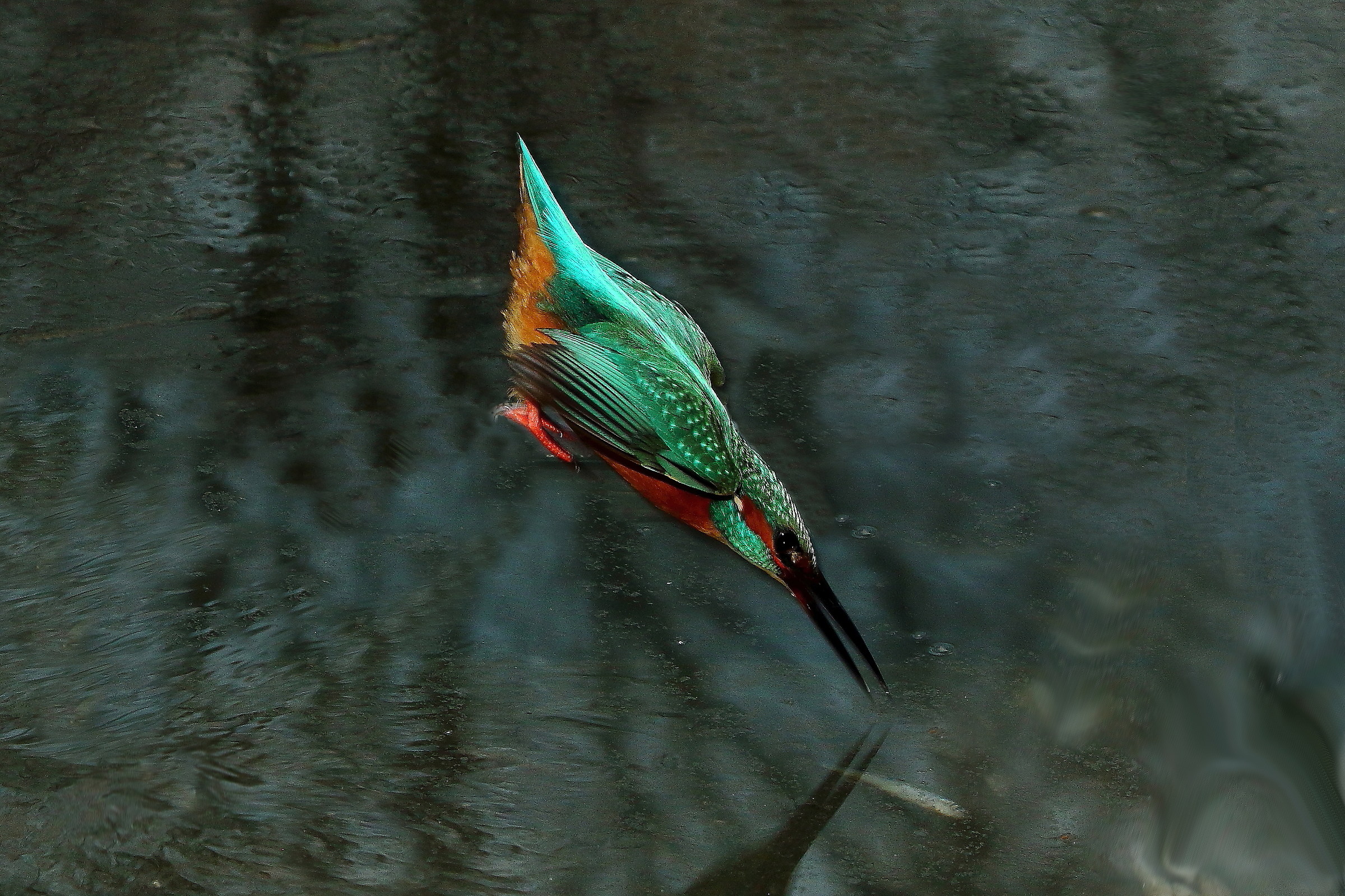 Martino in Fishing 2