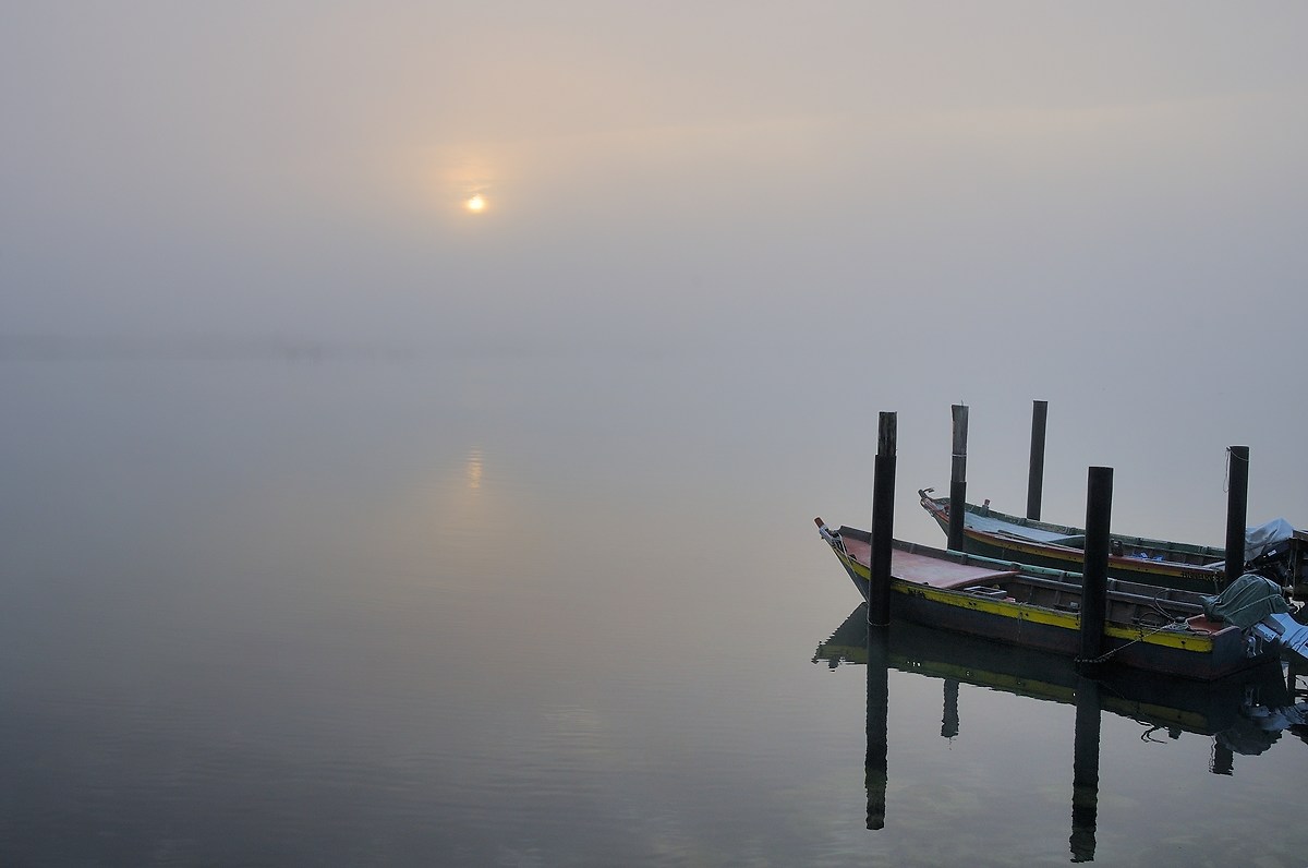 sunrise to 2 Canarin