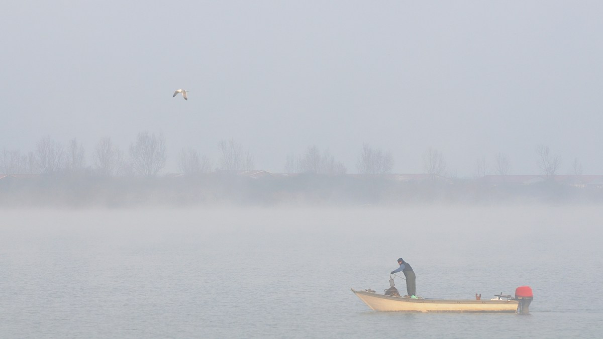 Fishermen village, Pila