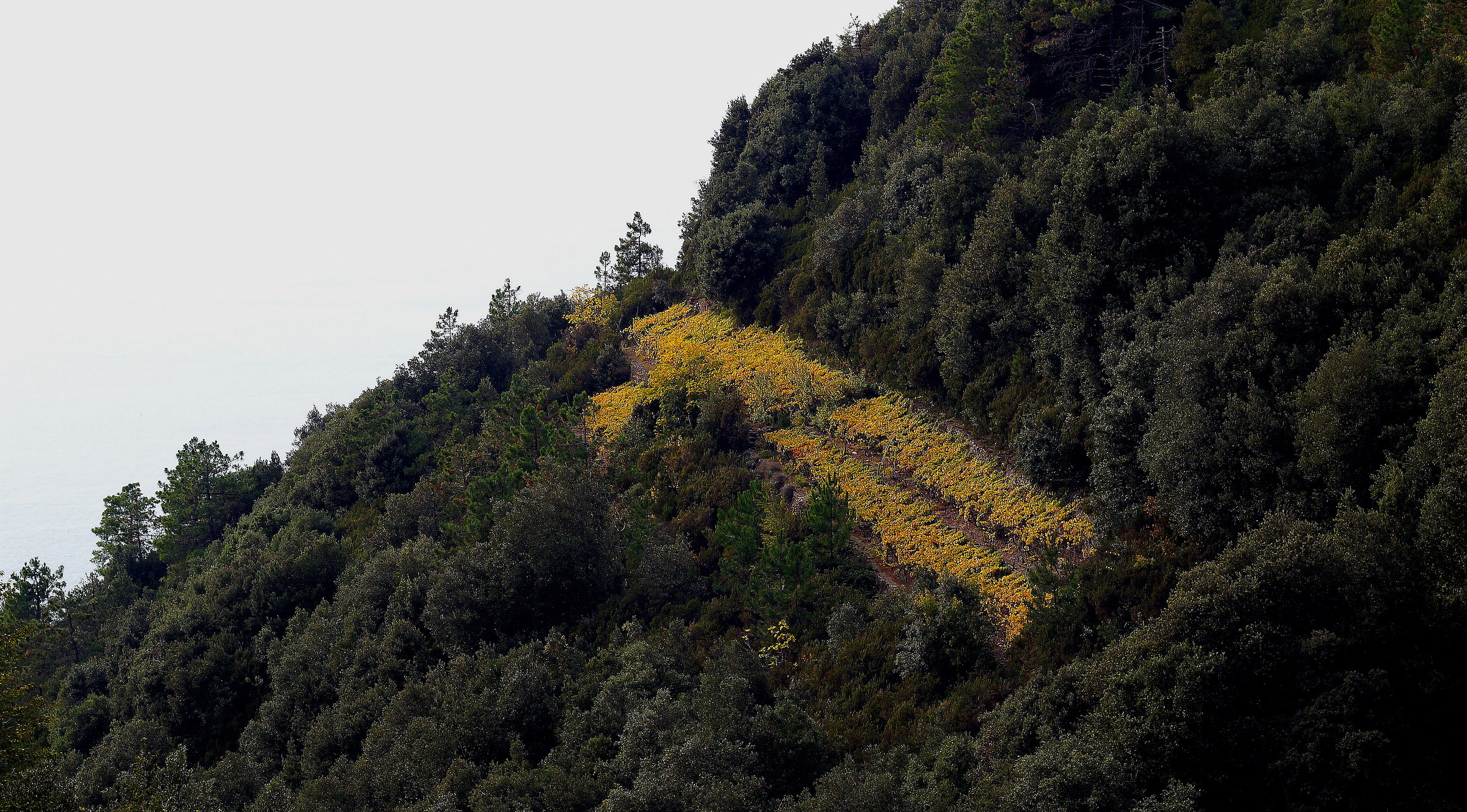 Quel gigante addormentato
