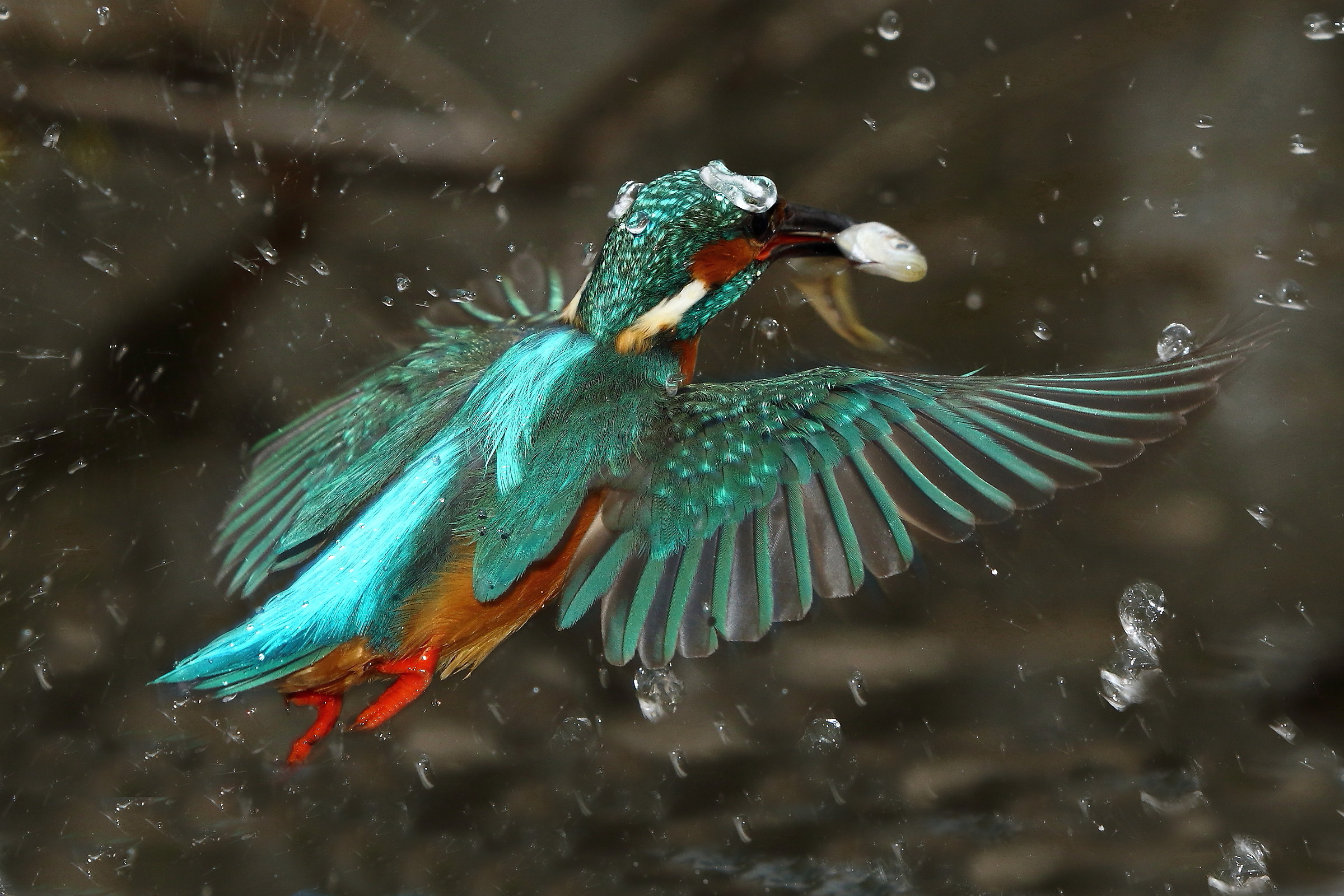 Martino in Fishing 05