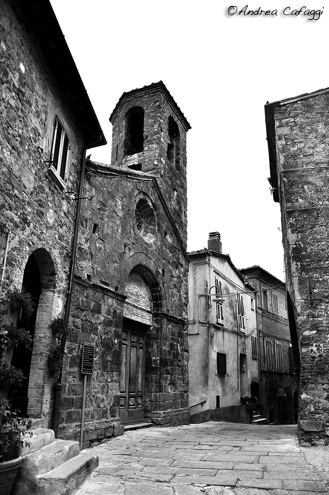 Pereta in scala di grigi