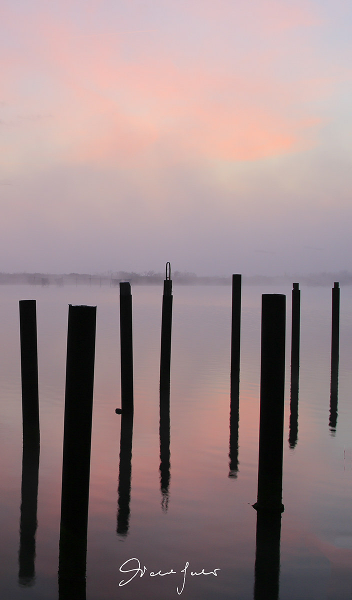 First light on the Po Delta 1