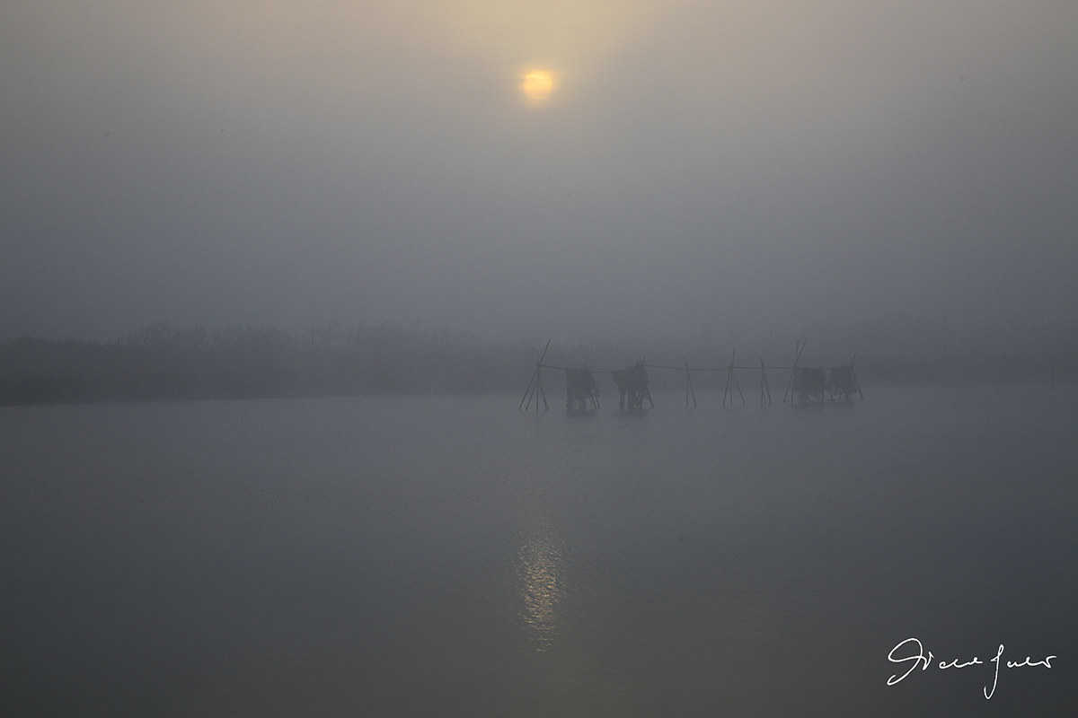 First light on the Po Delta 2