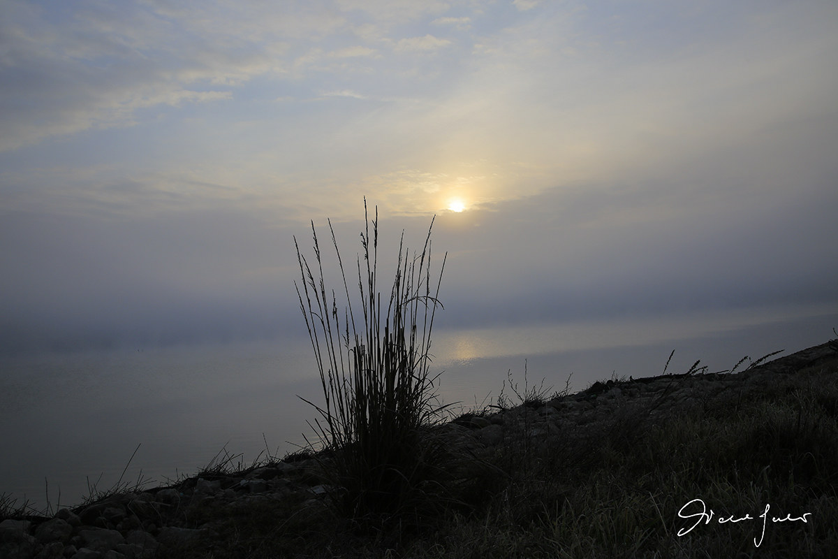 Prime luci sul Delta del Po 3