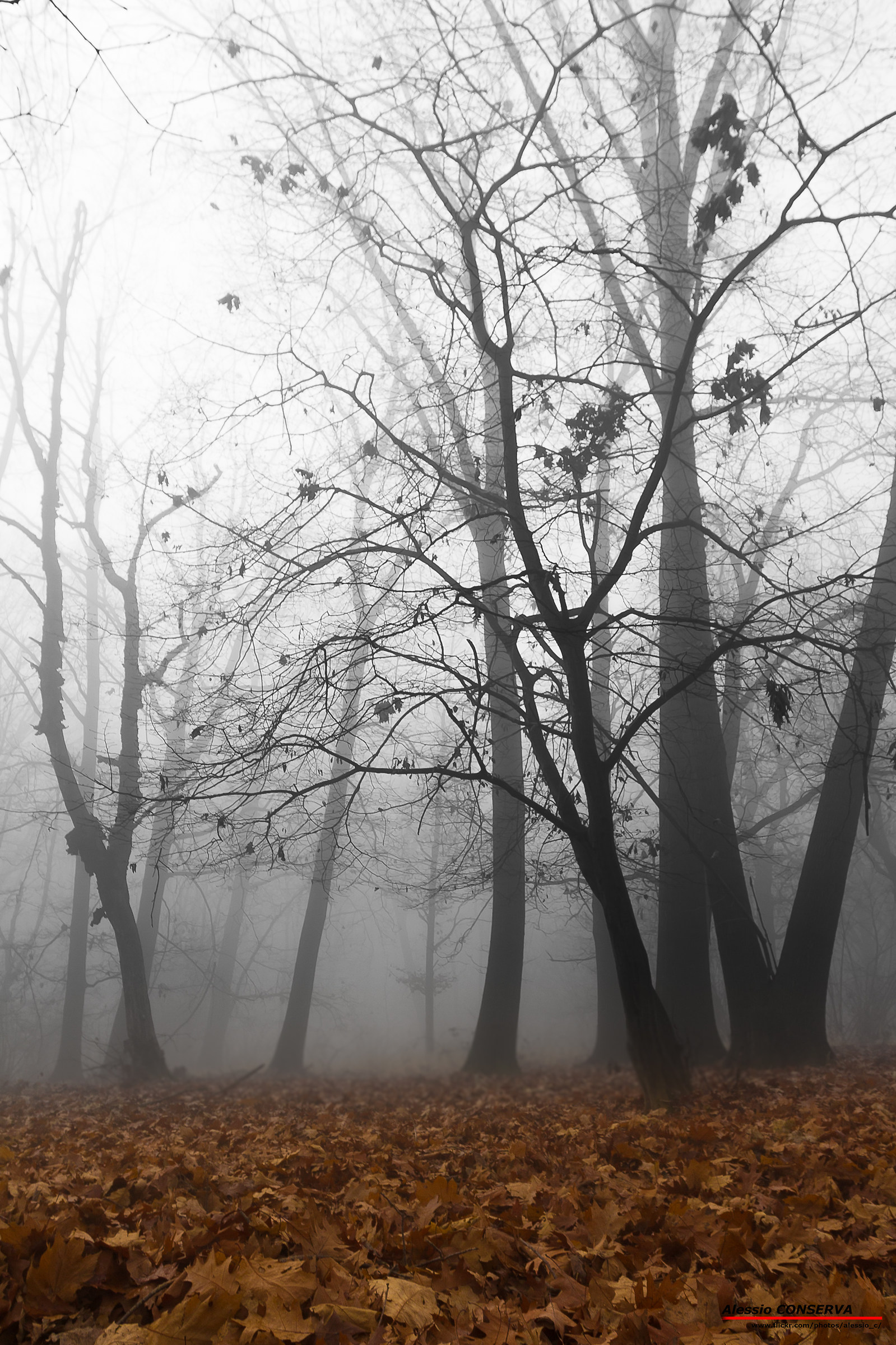 Una mattina d'inverno