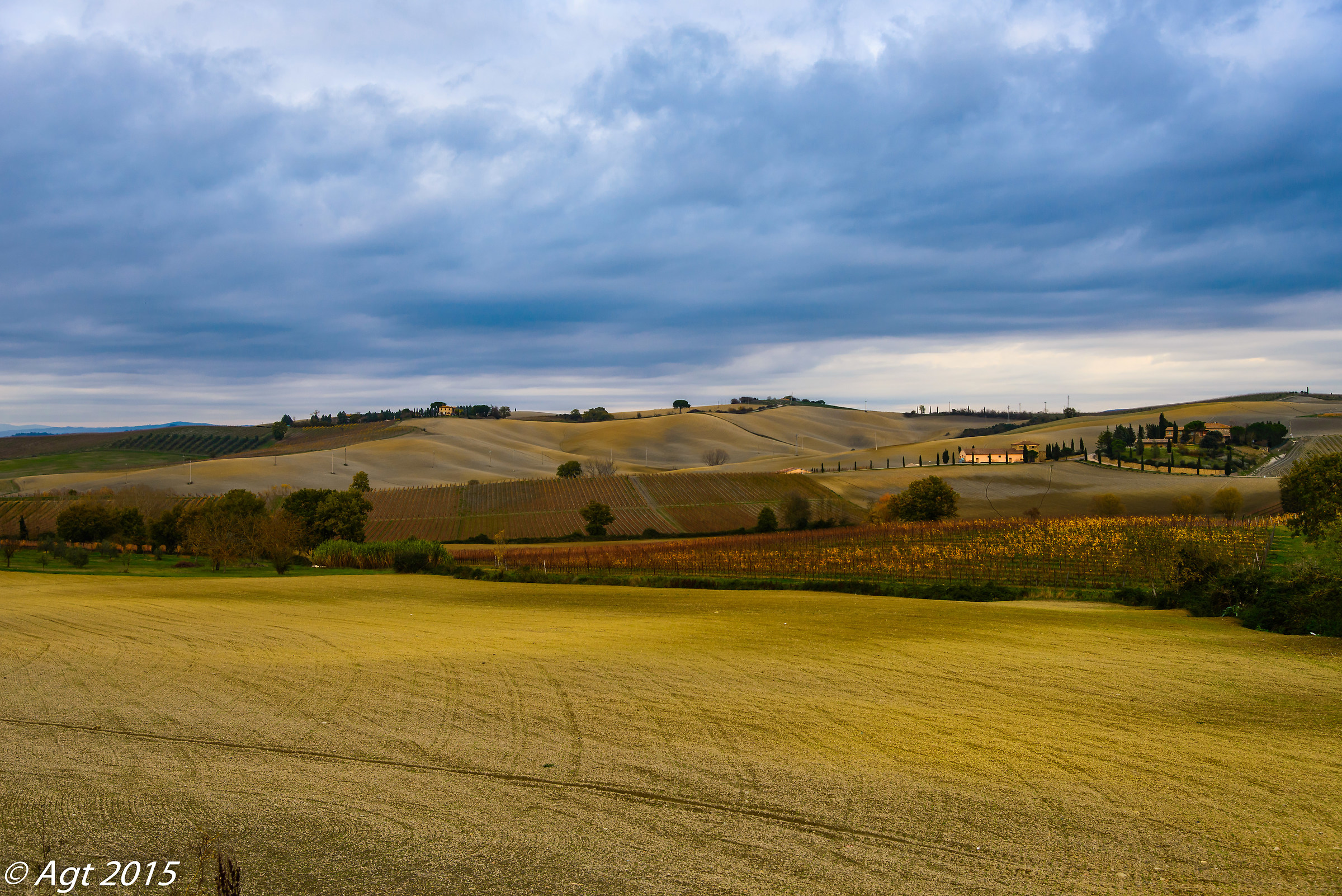 Dolci colline della Val D'Orcia