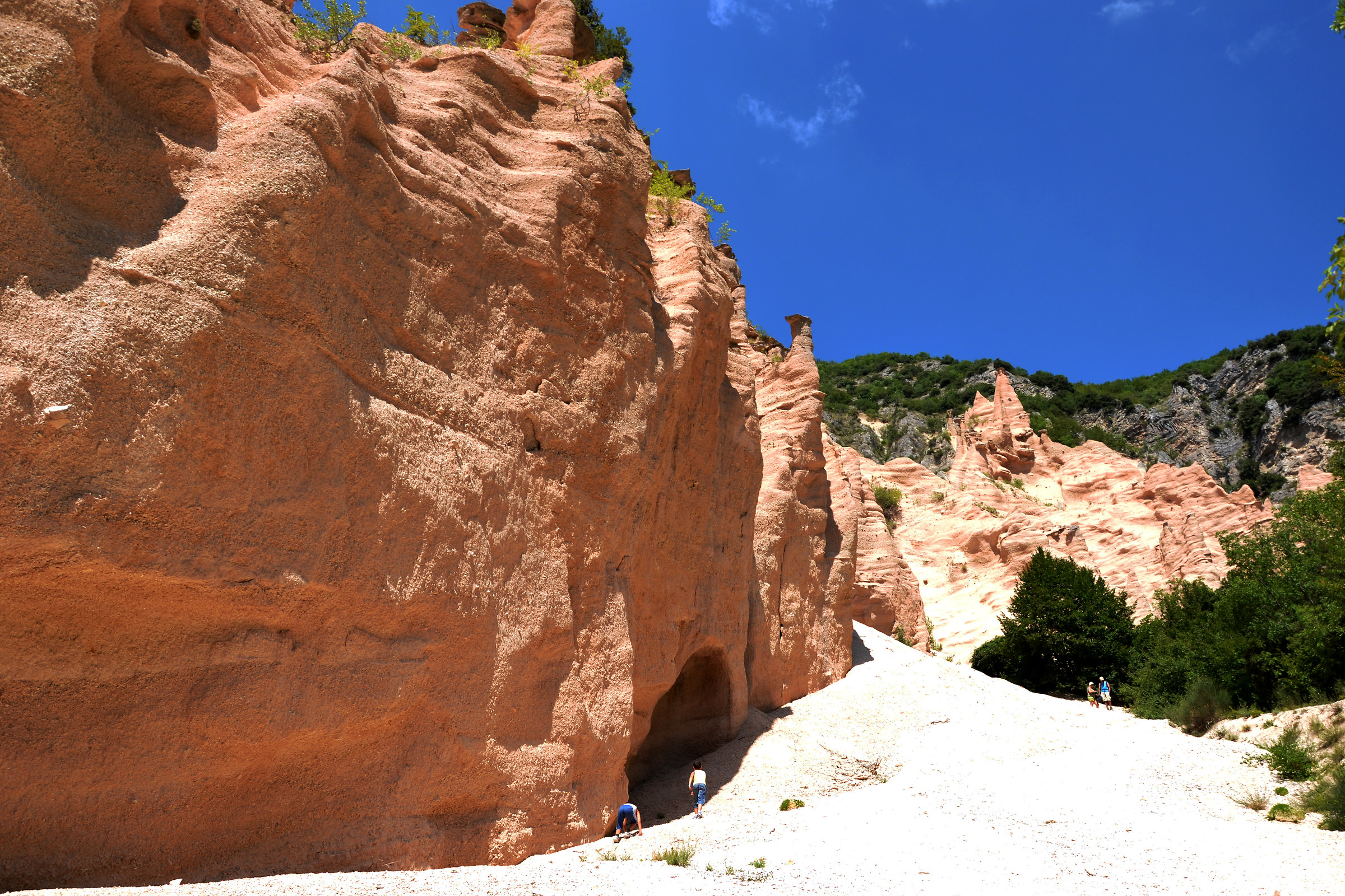Lame Rosse