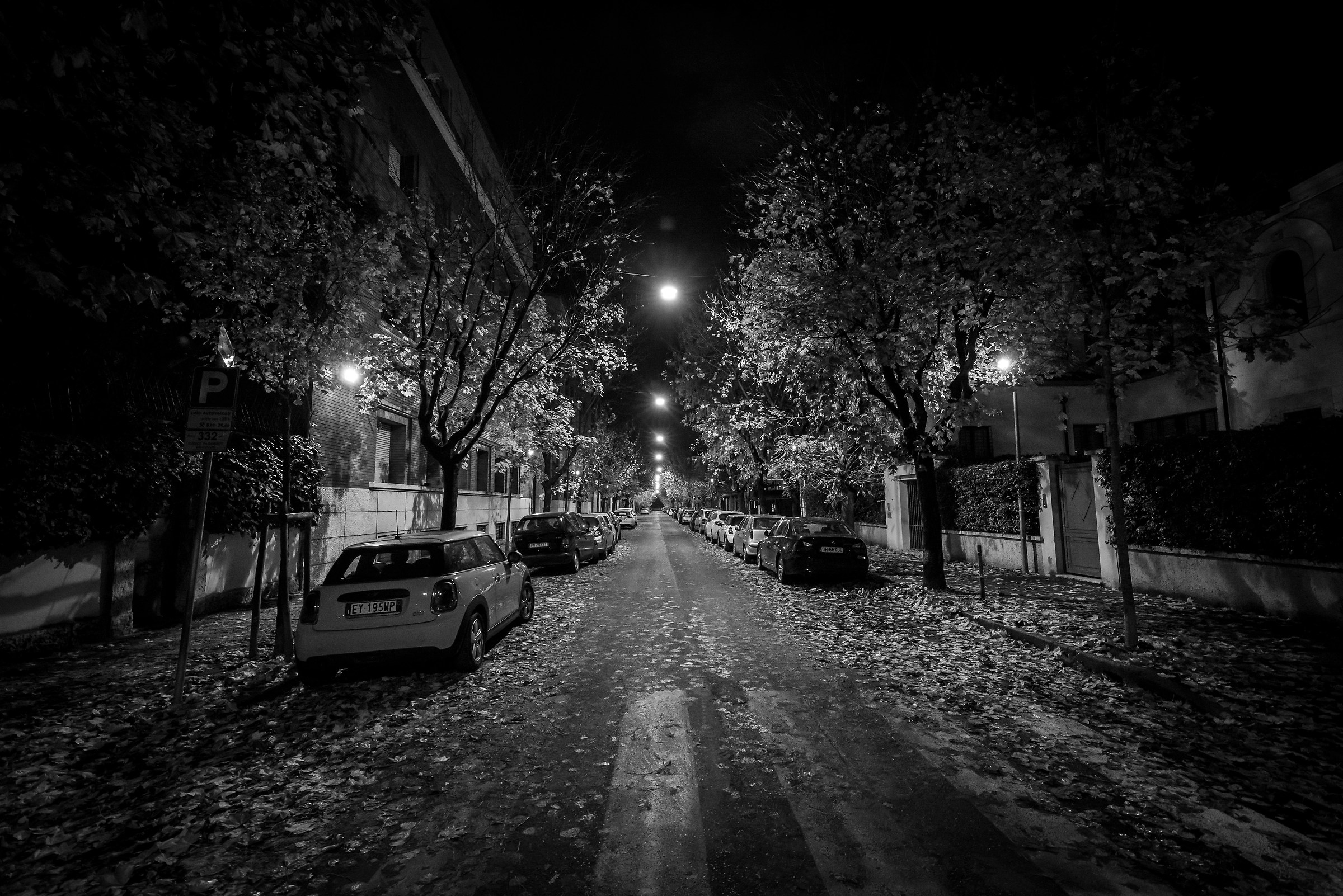 in the middle of the night