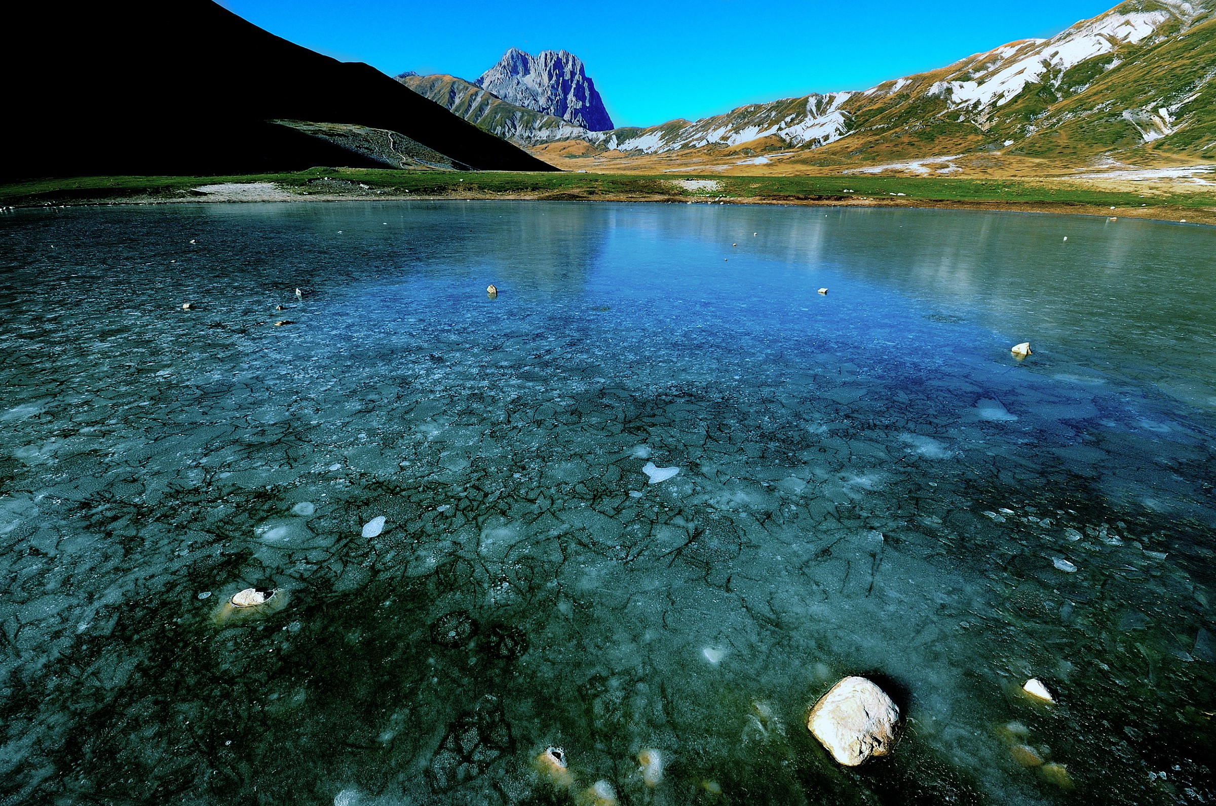 Emperor of ice field