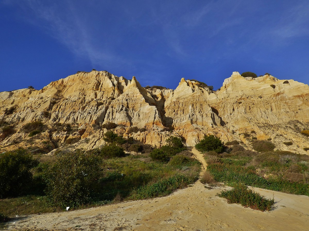 Dunes part of the Medano Asperillo