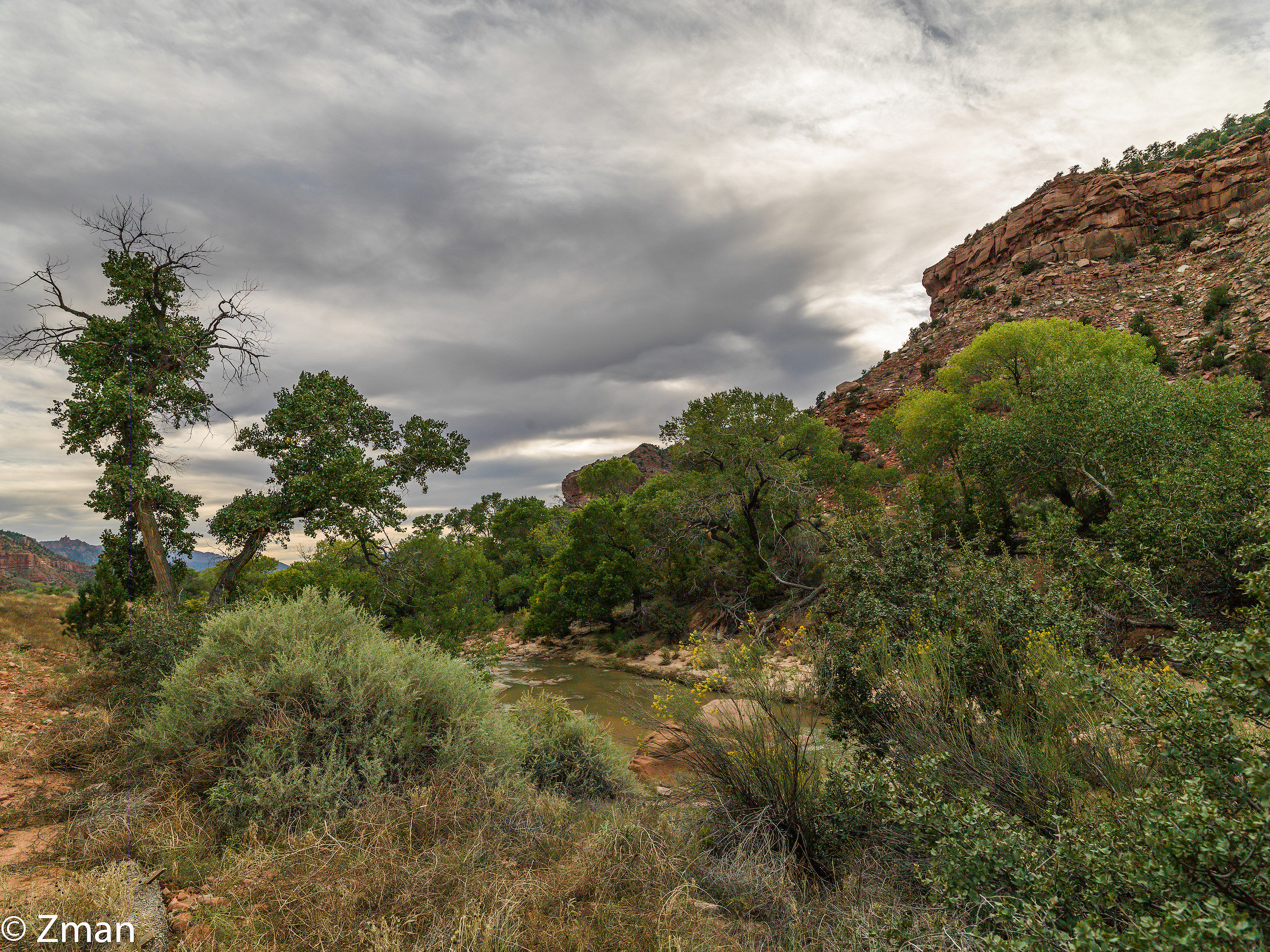 Zion National Park