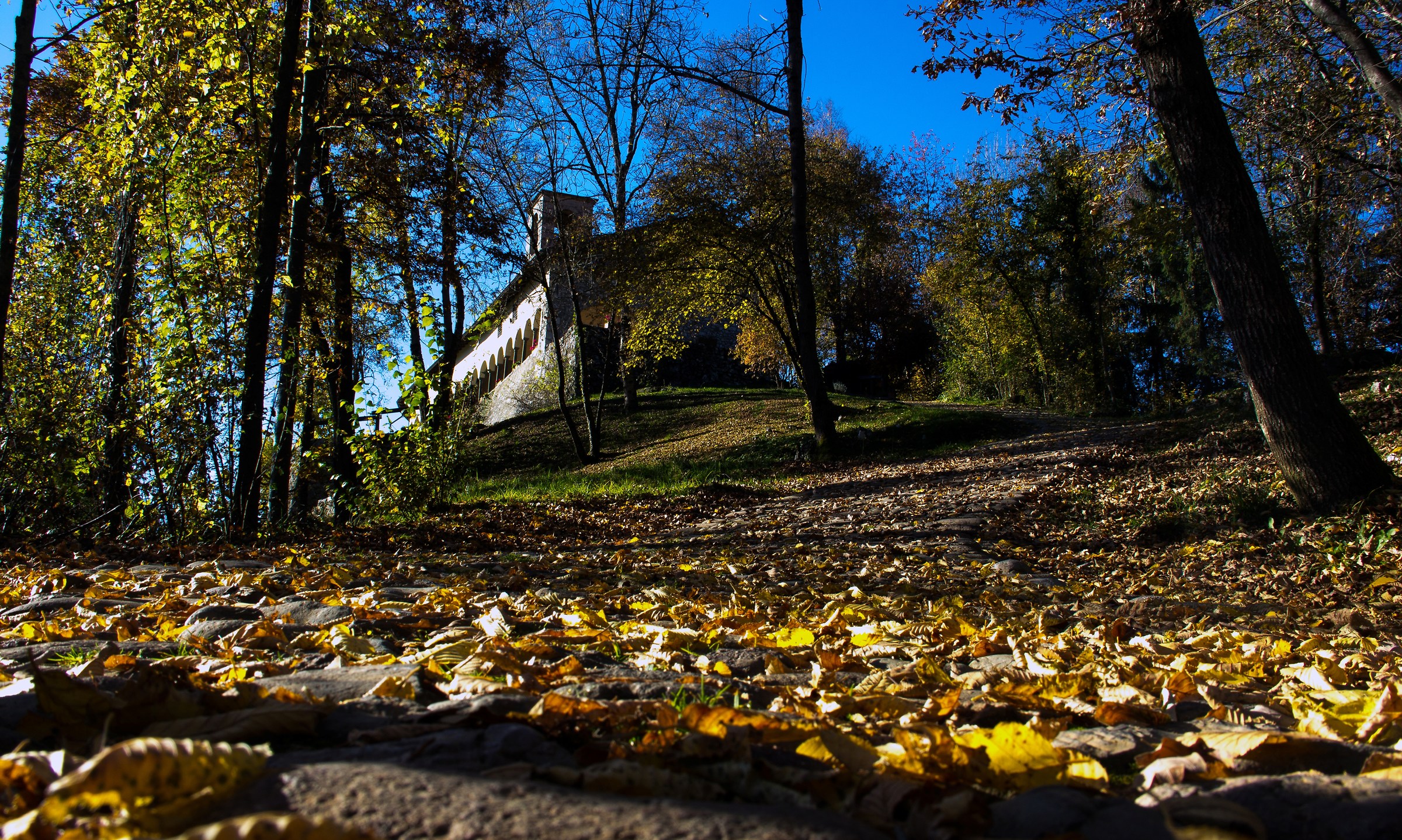 Sanctuary of the SS. Trinity - Parre
