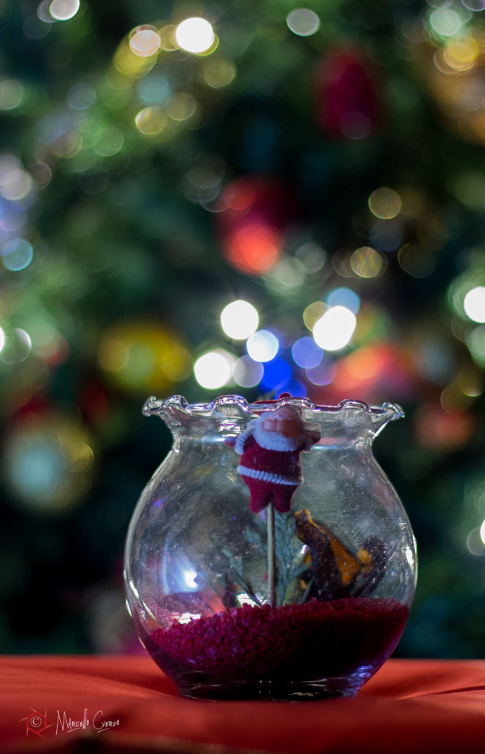 Bokeh Cristmas