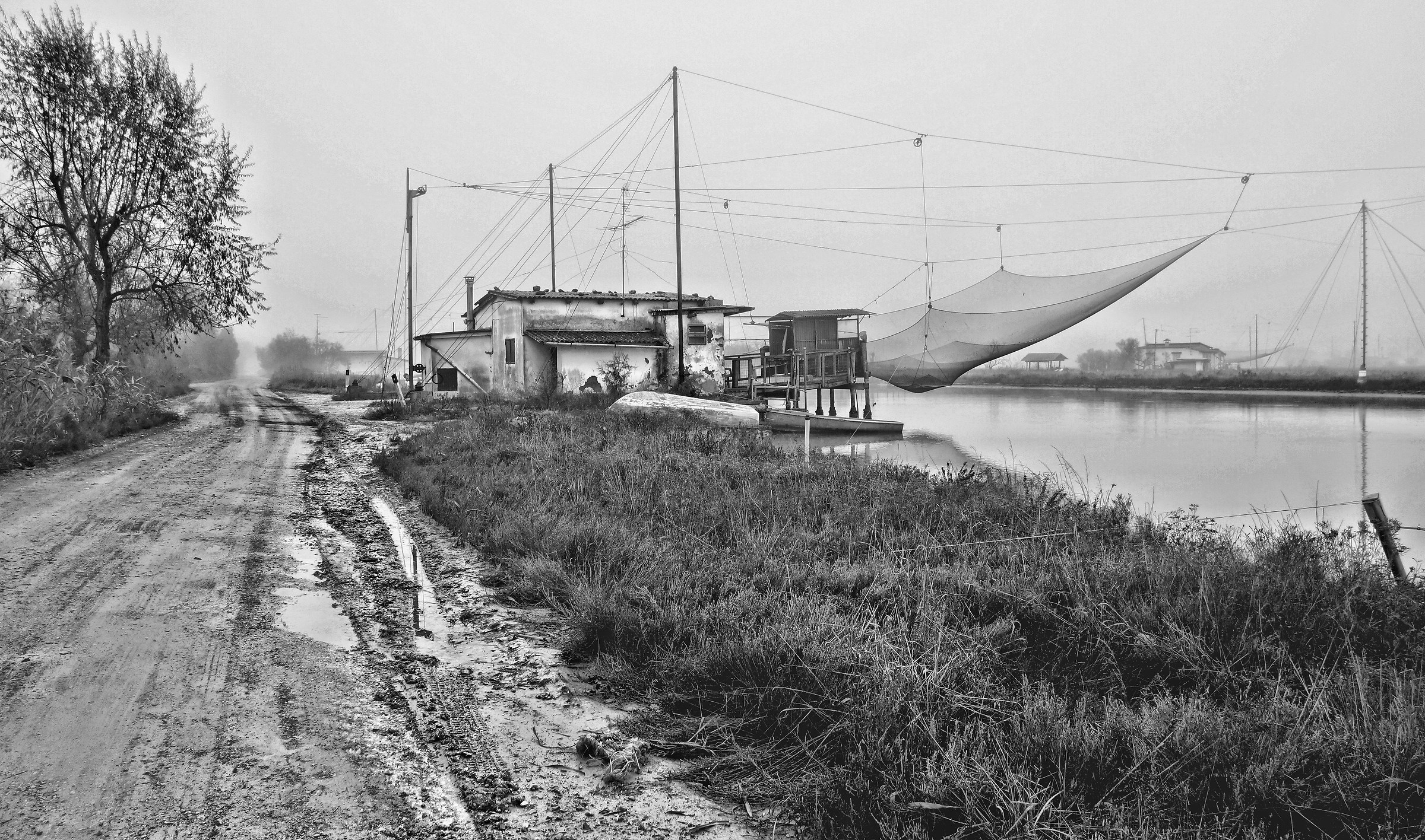 Prospettive fangose.