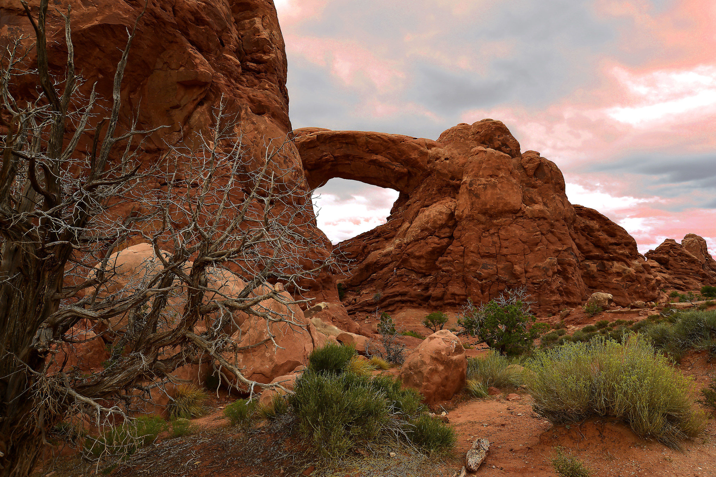 Arches n.p.