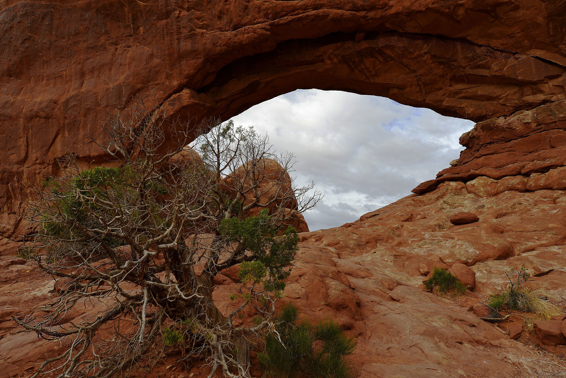 Arches n.p.