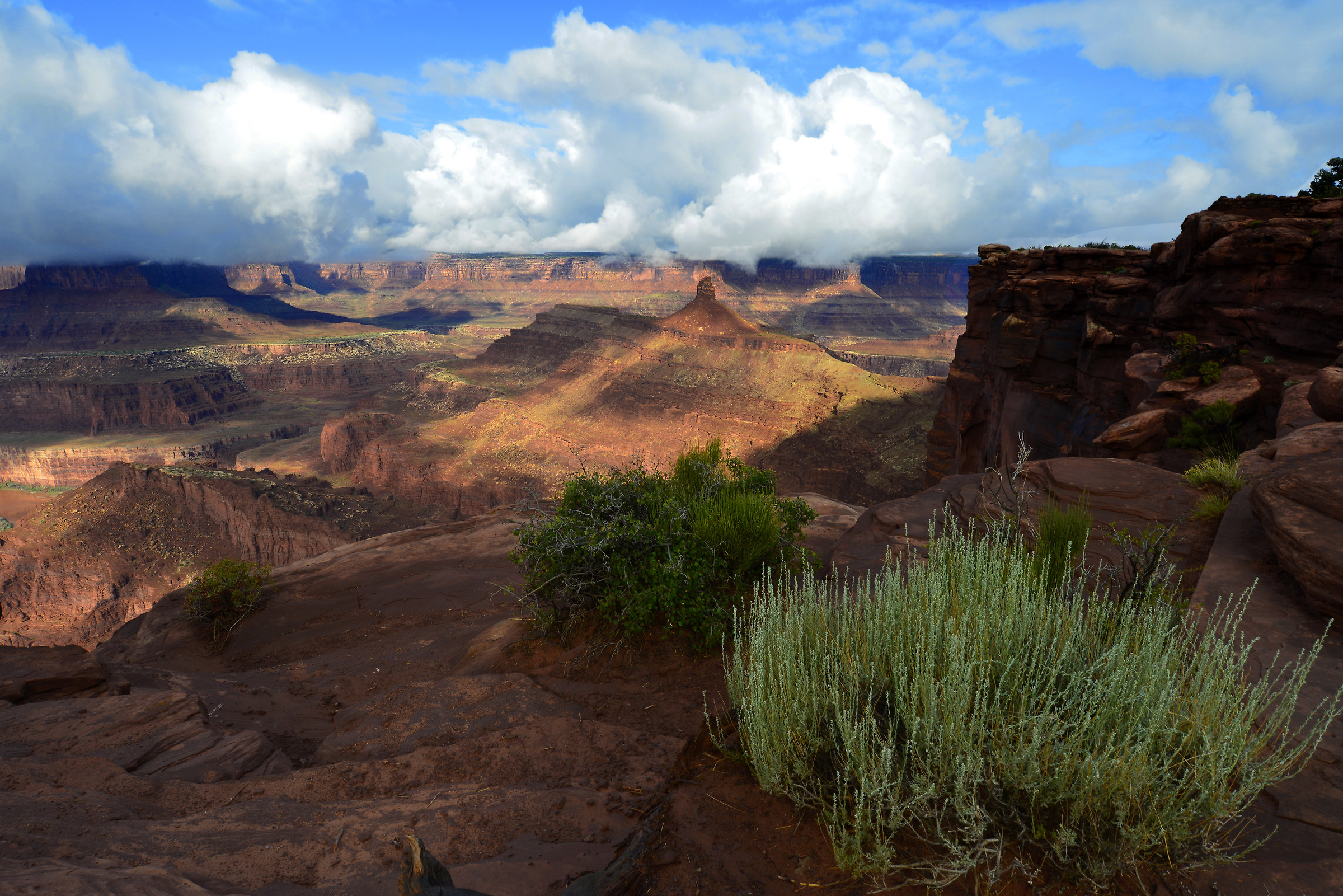 Canyonland