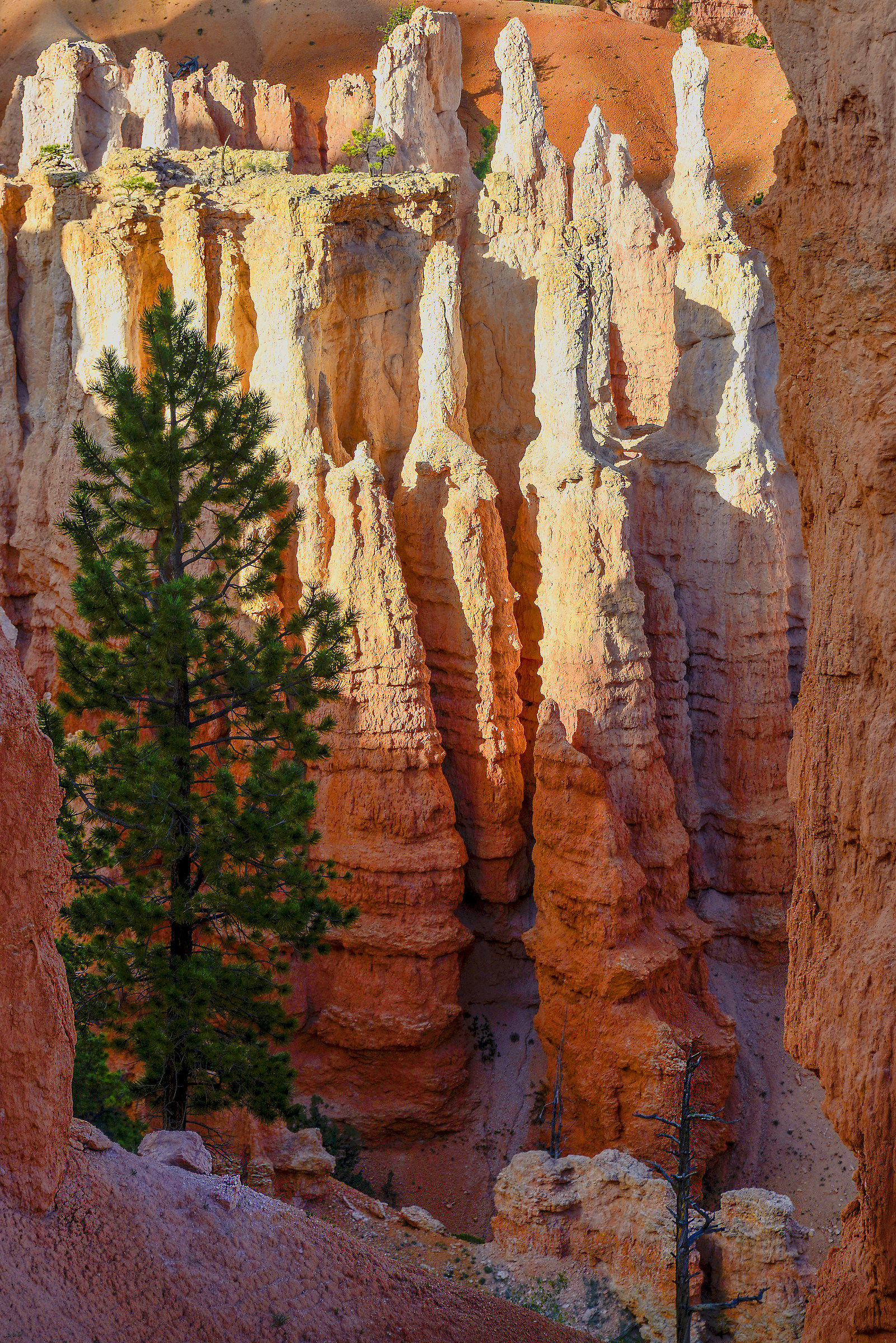 Bryce Canyon