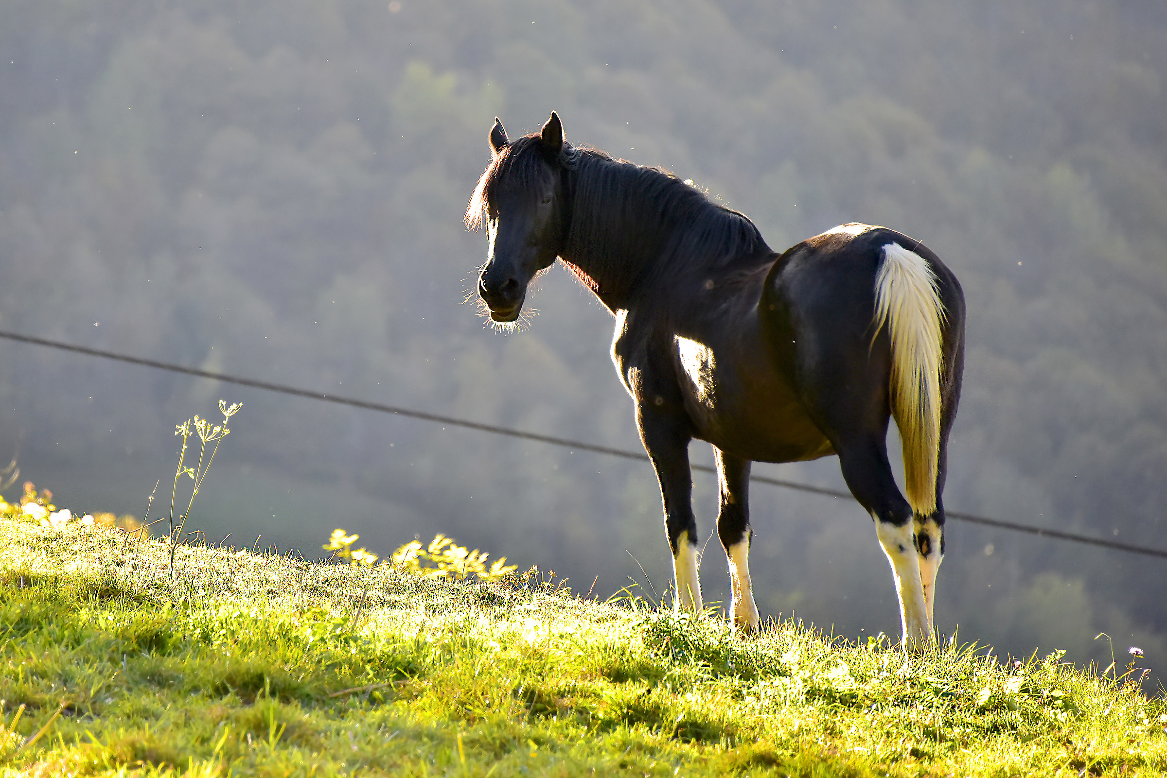 Ultimi tepori d'autunno