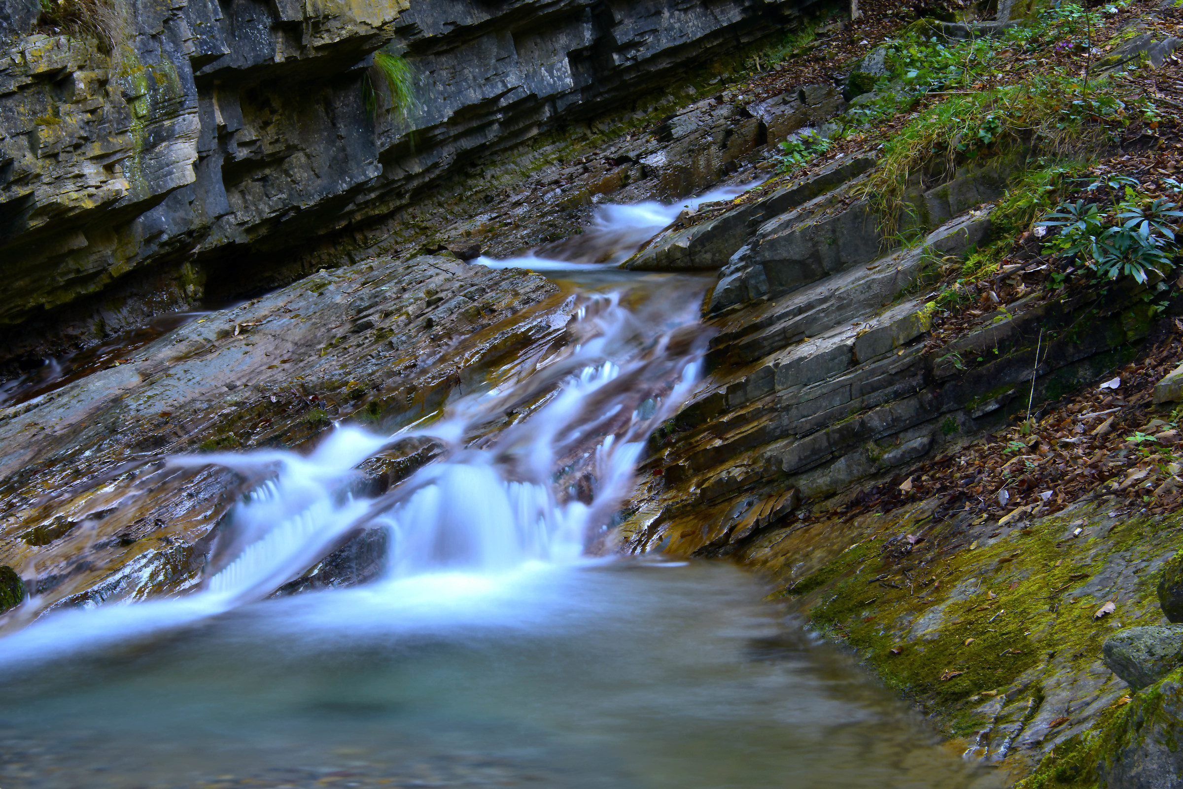 "Giardini" di Prestine