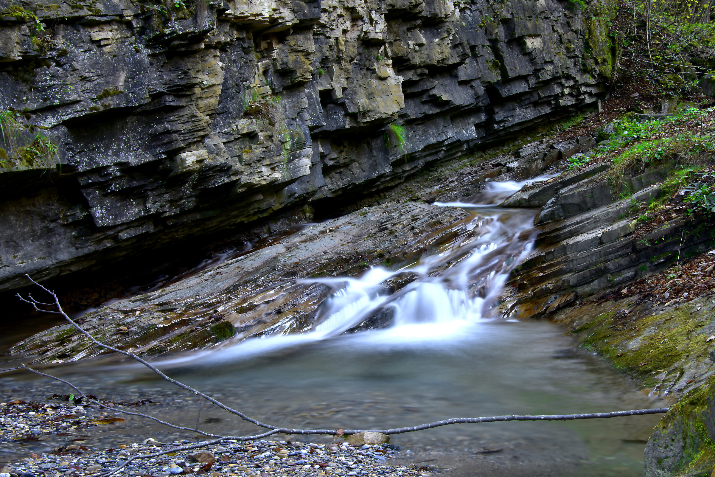 "Giardini" di Prestine