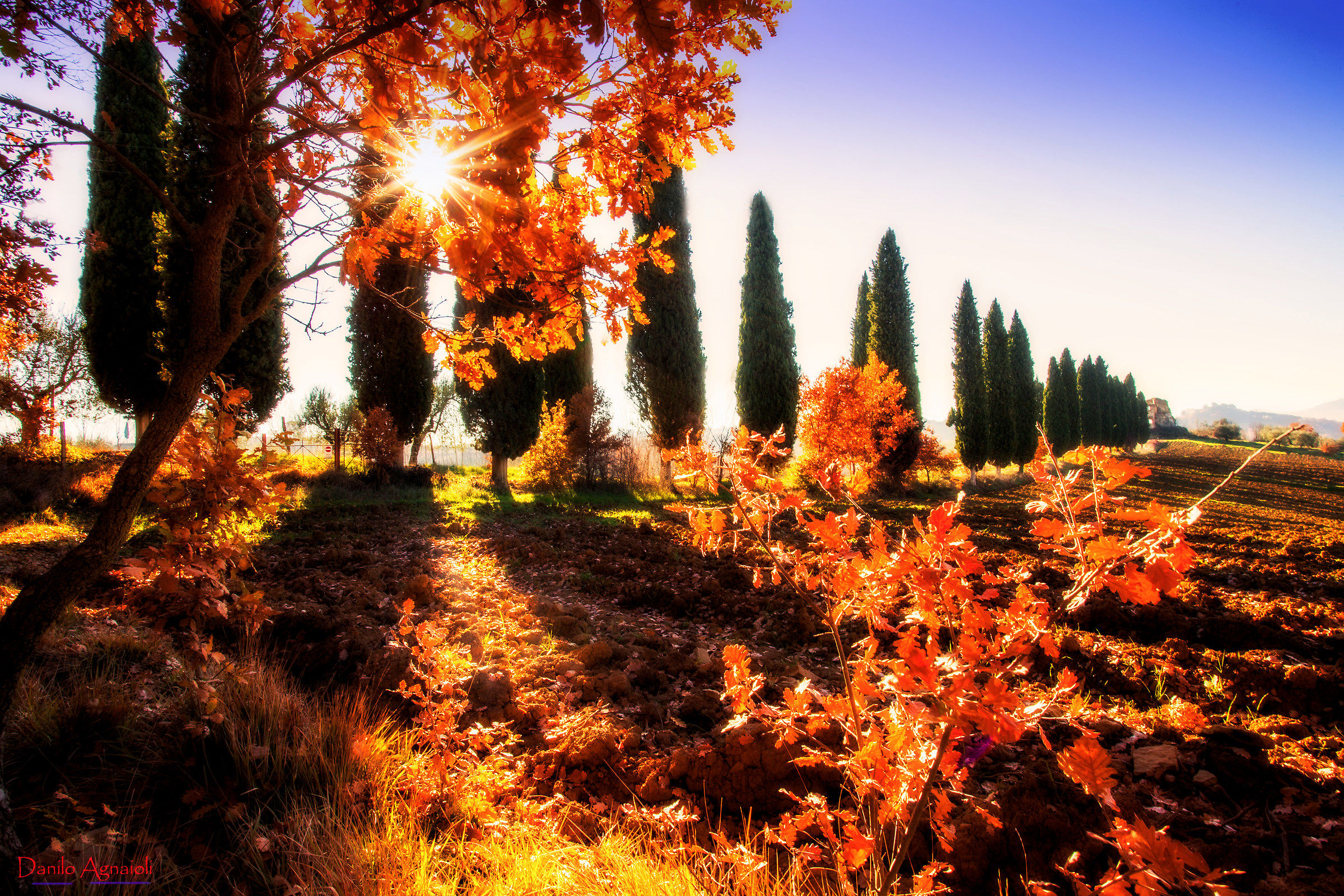 In the hills of Perugino