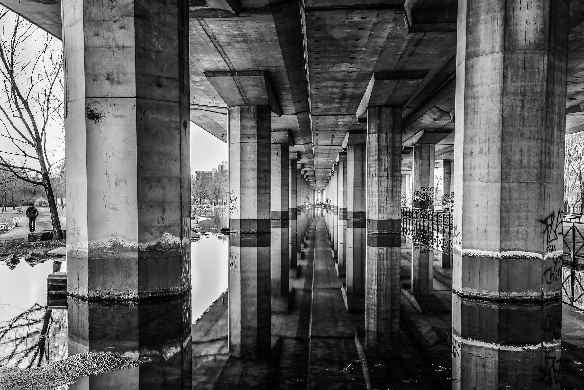 Riflessi metropolitani