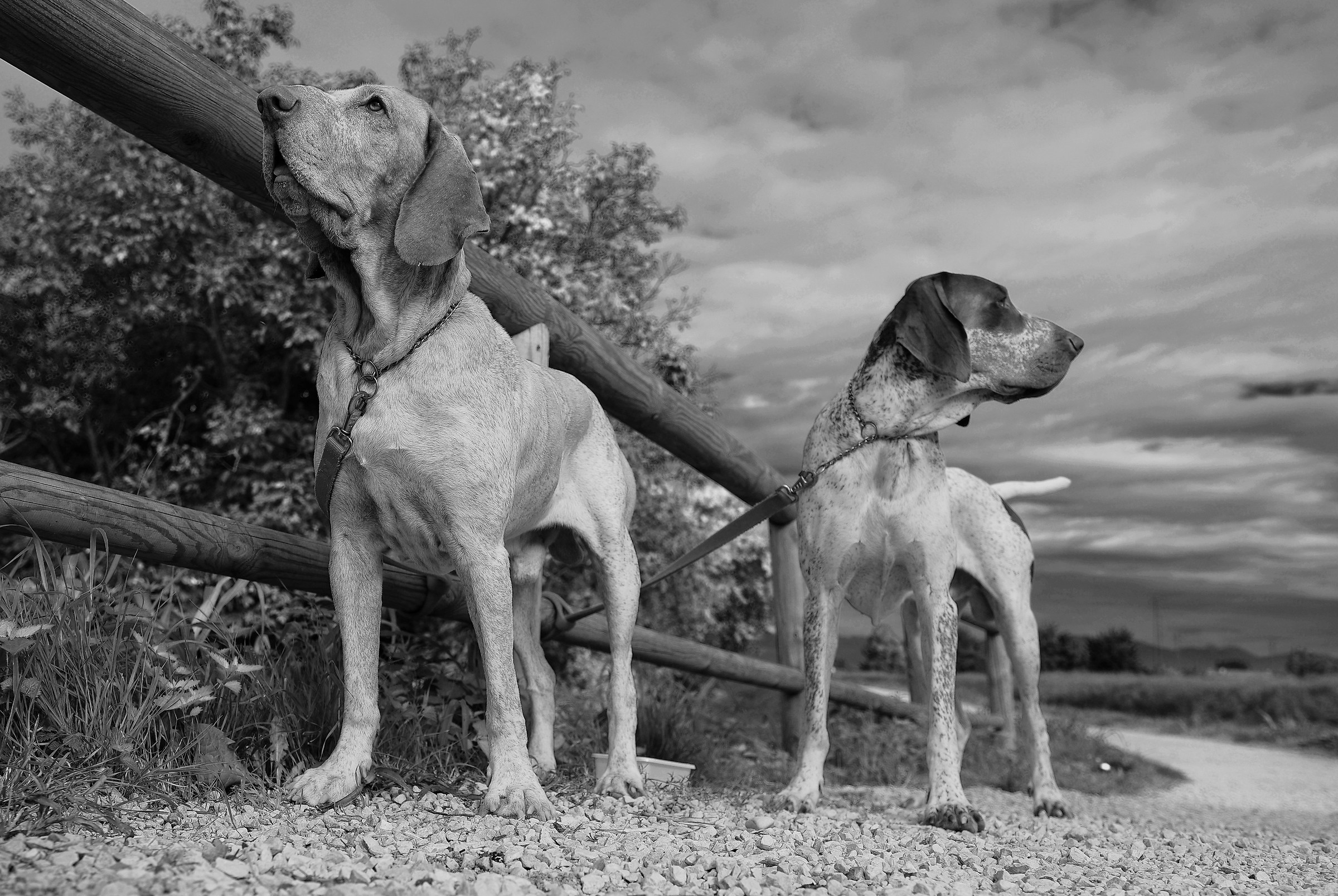 Ostiglia ciclopedonale XII