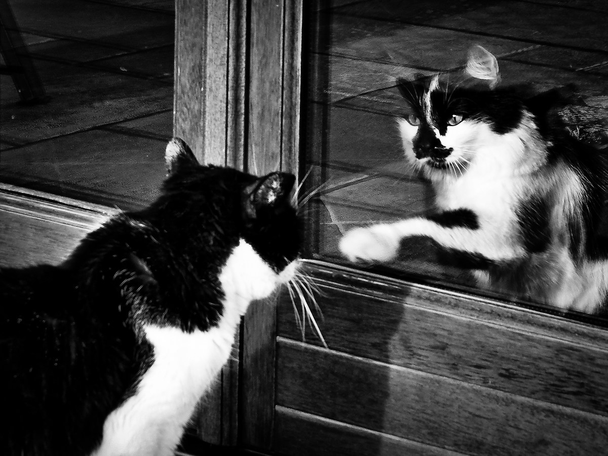 In & Out (Musetta & Mathieu) 3