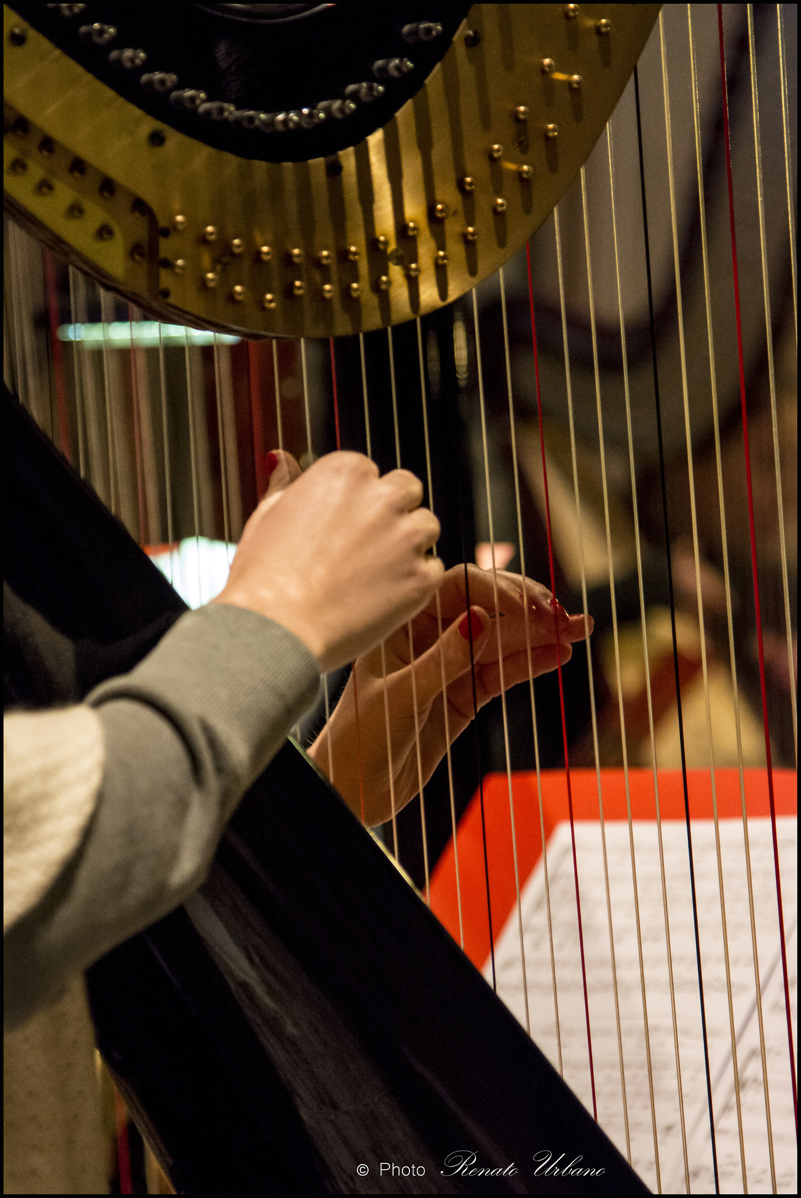 Behind the scenes of ArpaBaleno