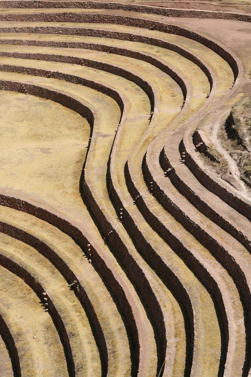Inca terraces