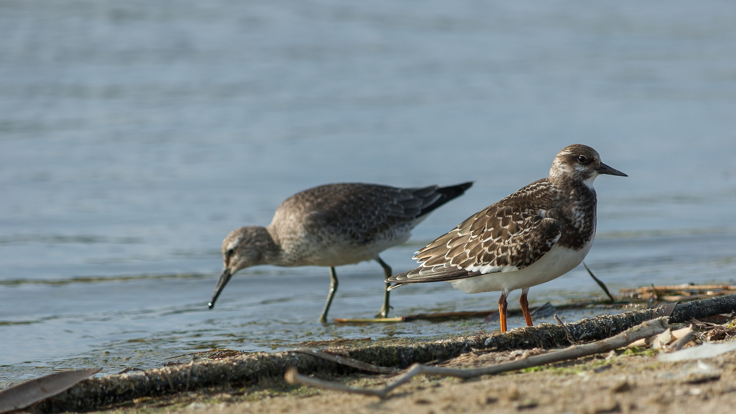 ...I'm watching you...