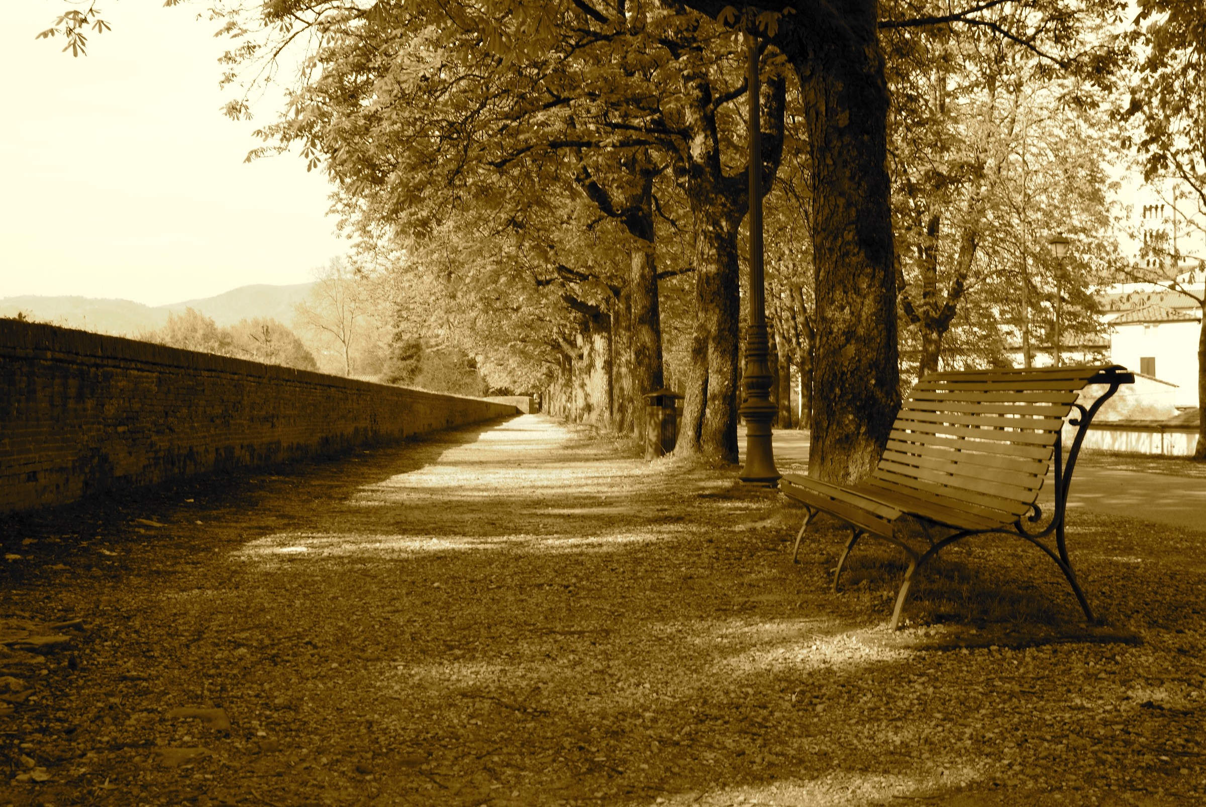 Above the walls of Lucca